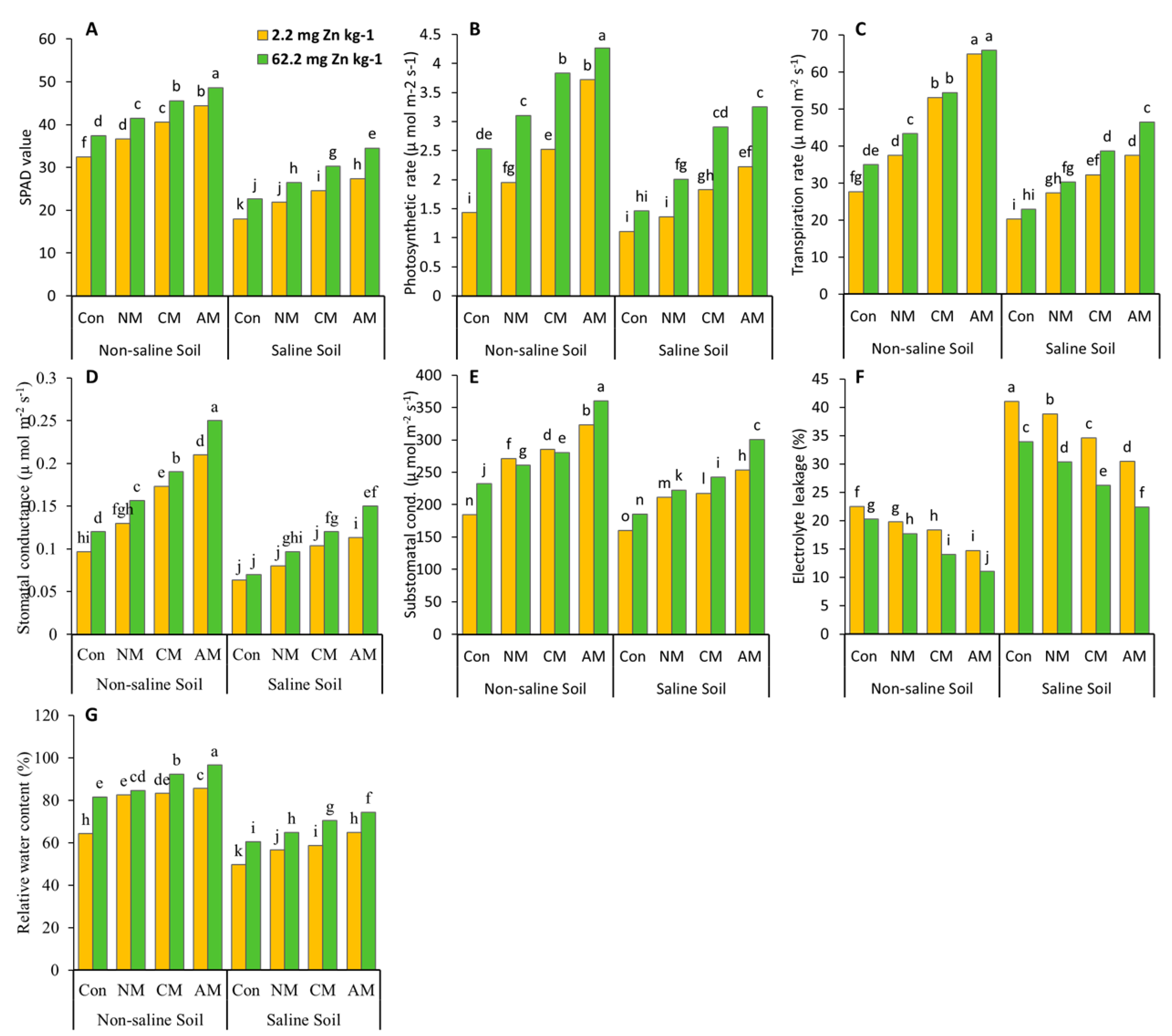 Agronomy 14 01289 g002