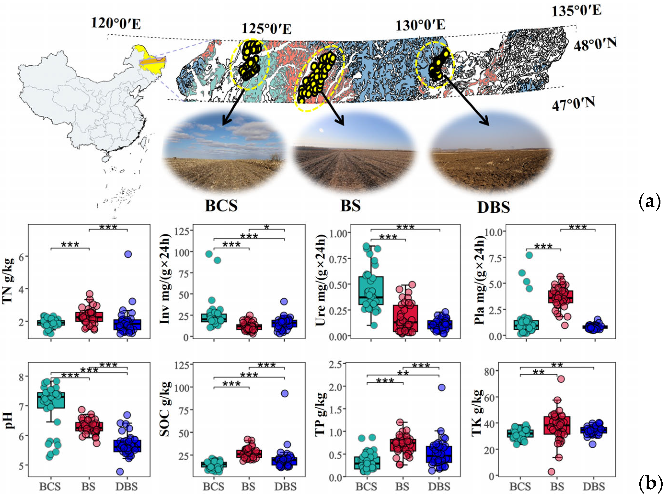 Agronomy 14 01297 g001