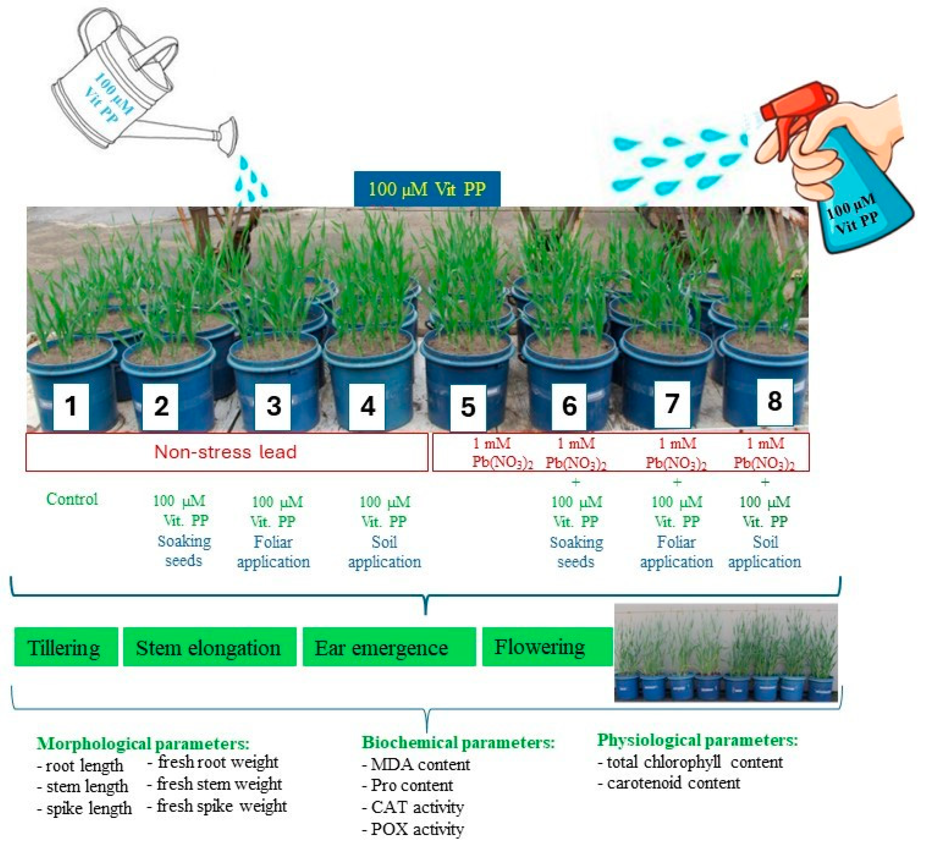 Agronomy 14 01314 g001