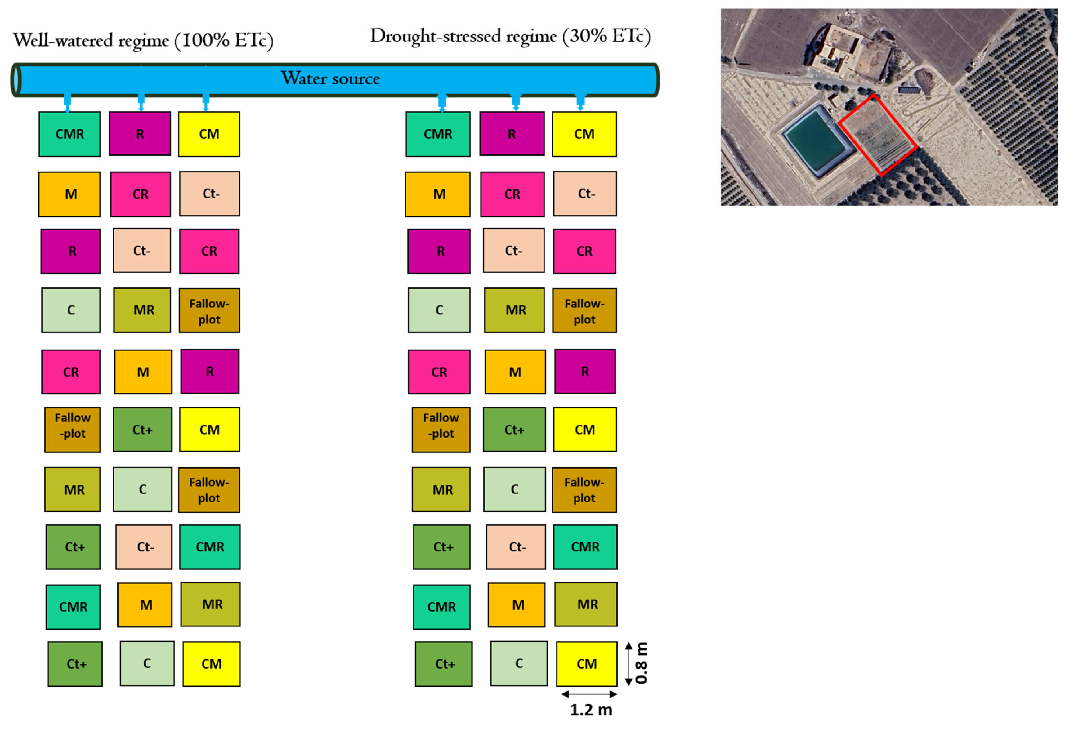 Agronomy 14 01316 g001