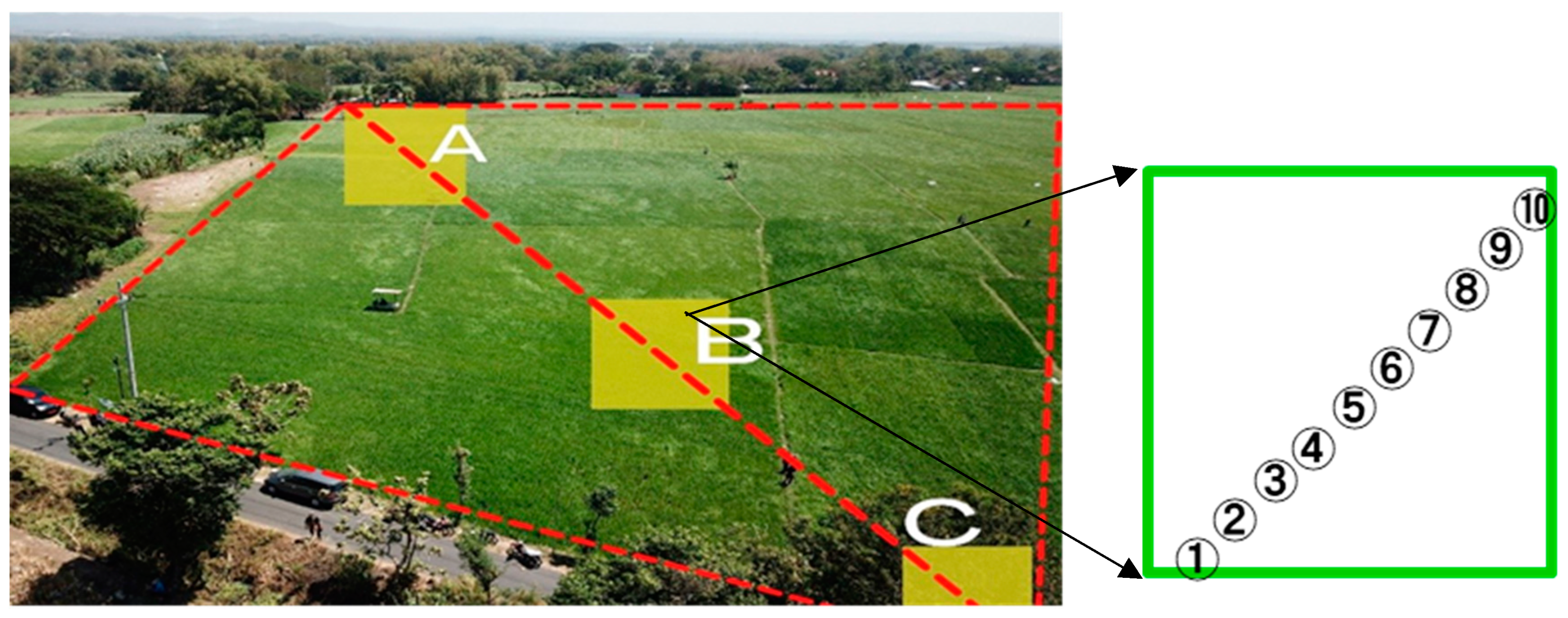 Agronomy 14 01328 g003