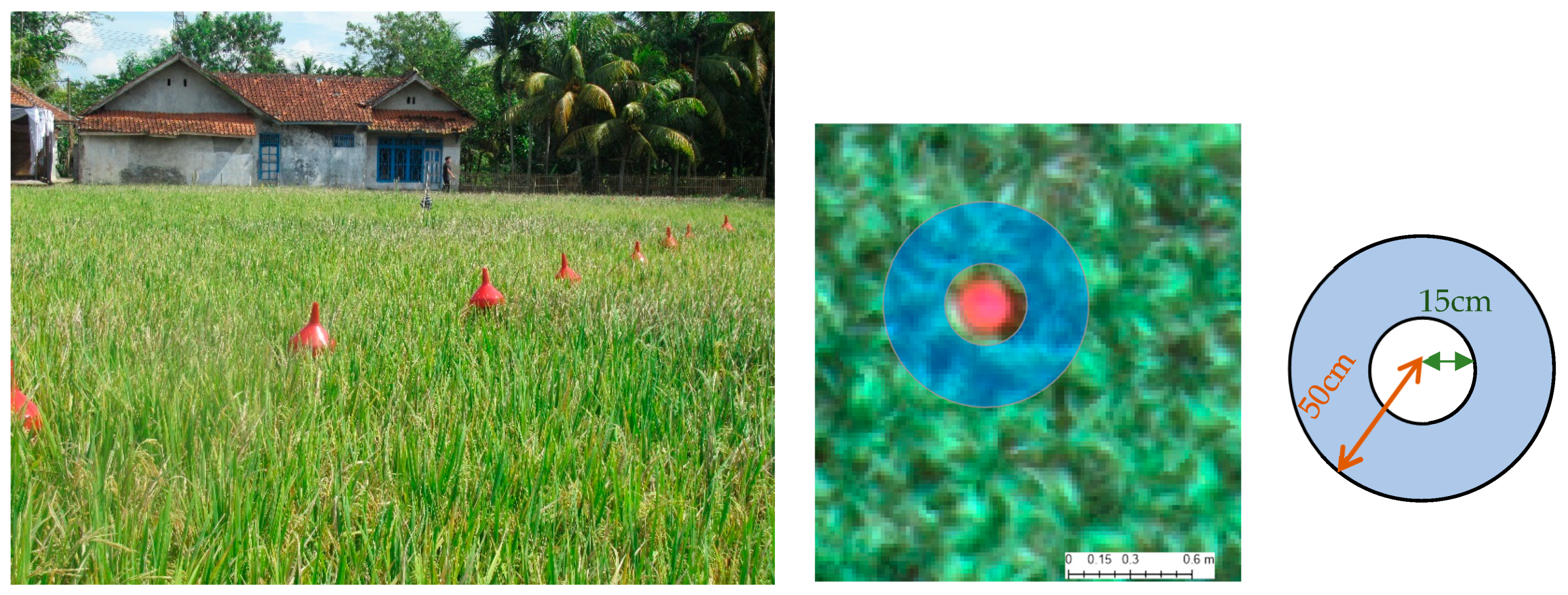 Agronomy 14 01328 g004