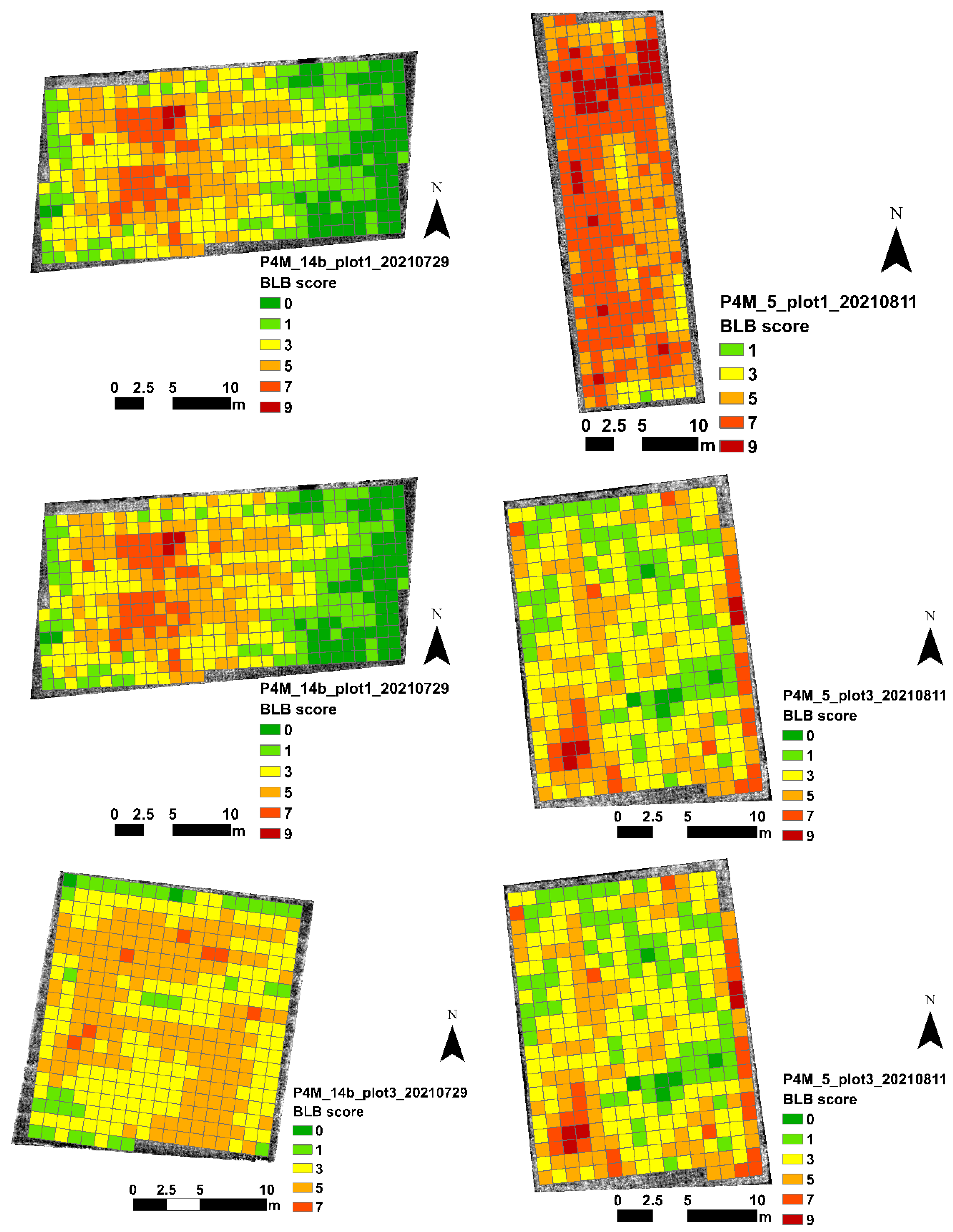 Agronomy 14 01328 g010