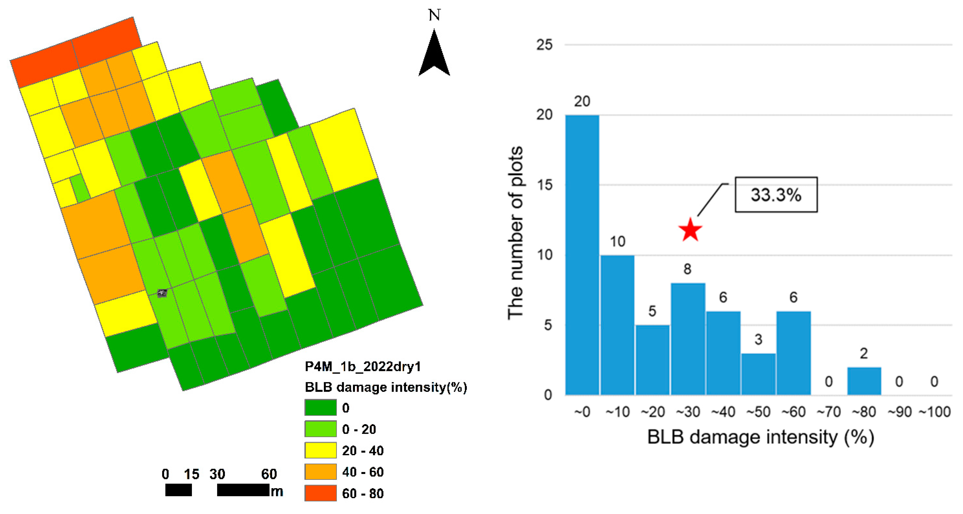 Agronomy 14 01328 g011