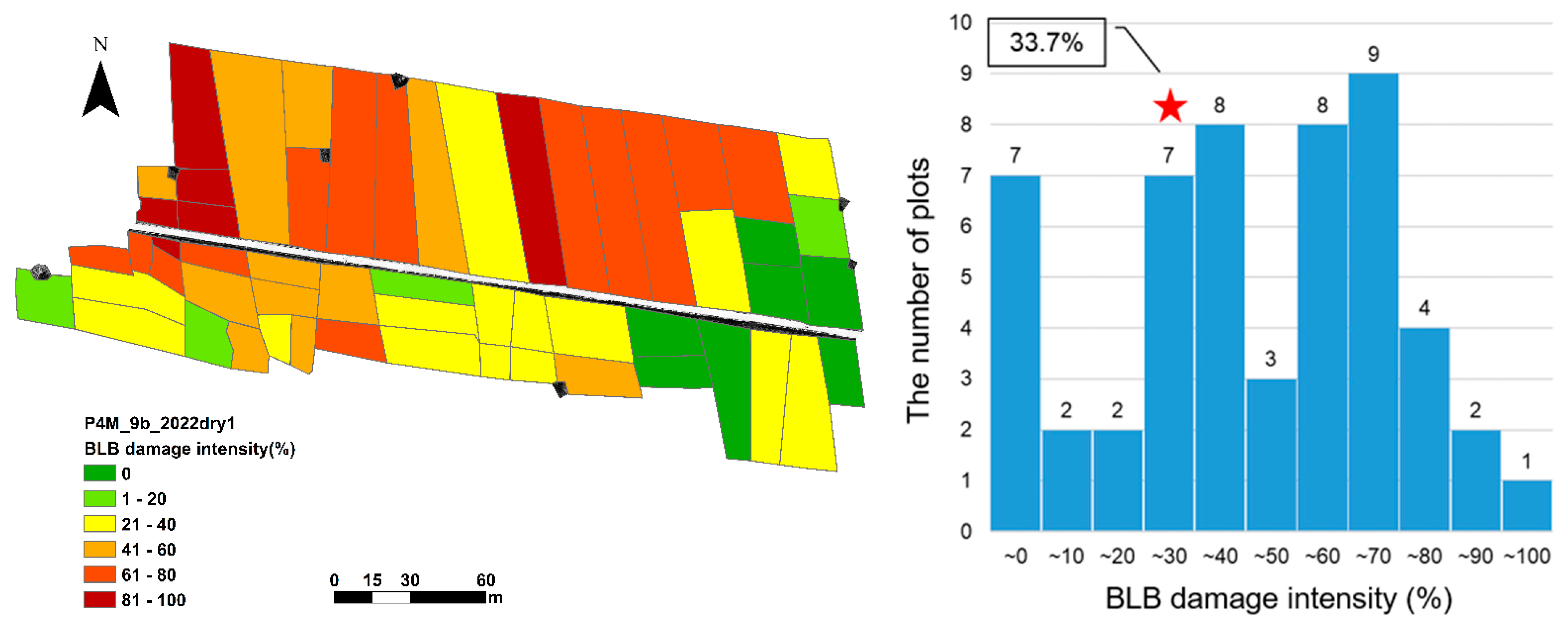 Agronomy 14 01328 g012