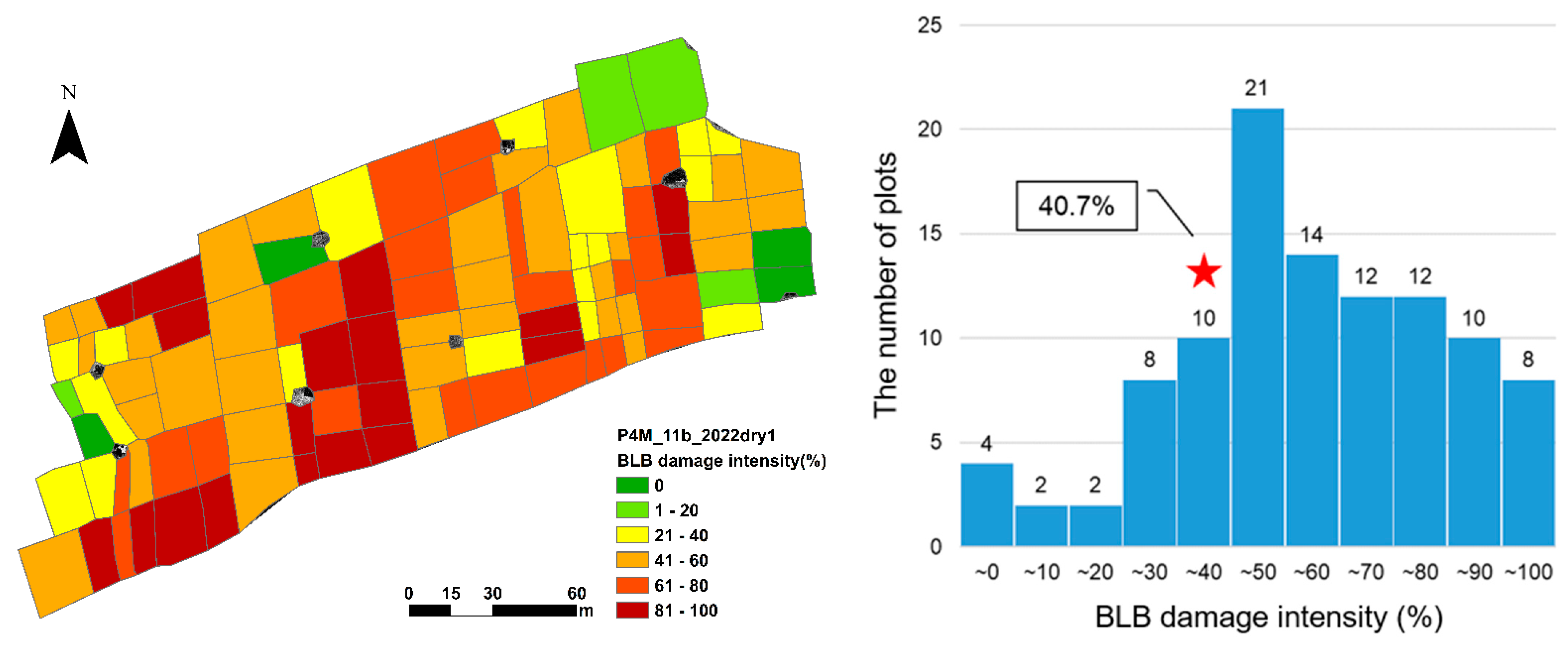 Agronomy 14 01328 g013