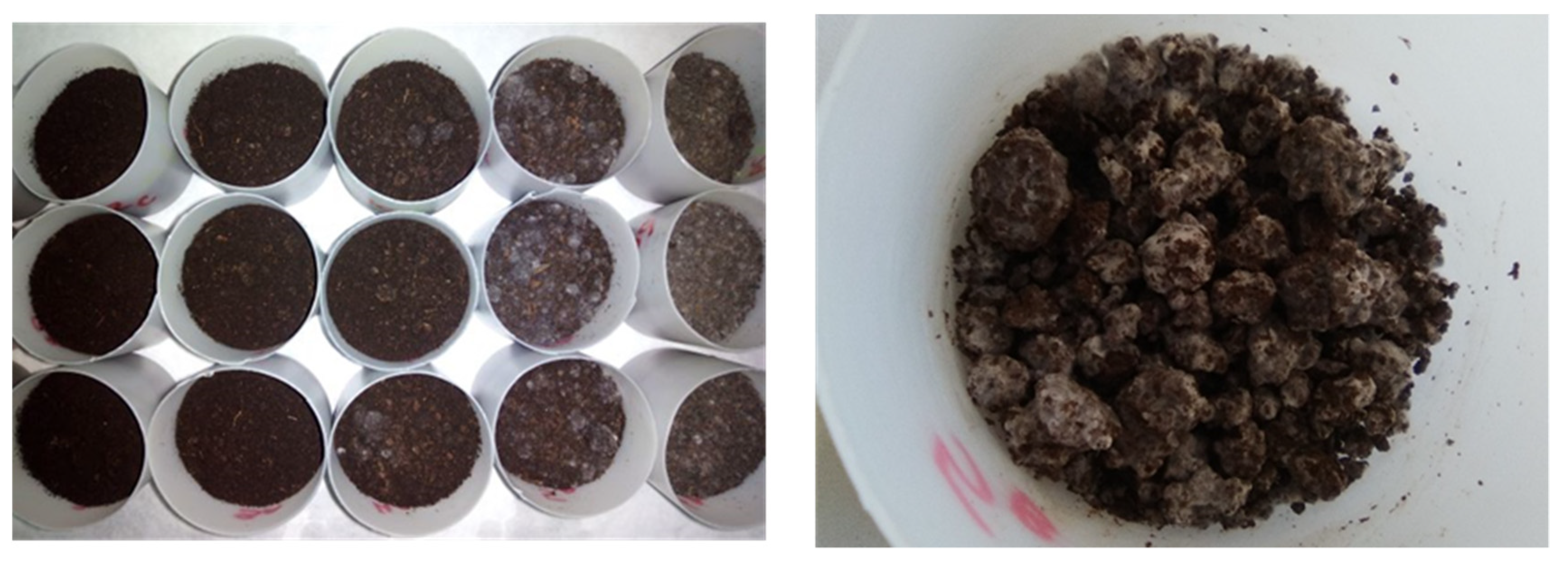 Agronomy 14 01329 g008