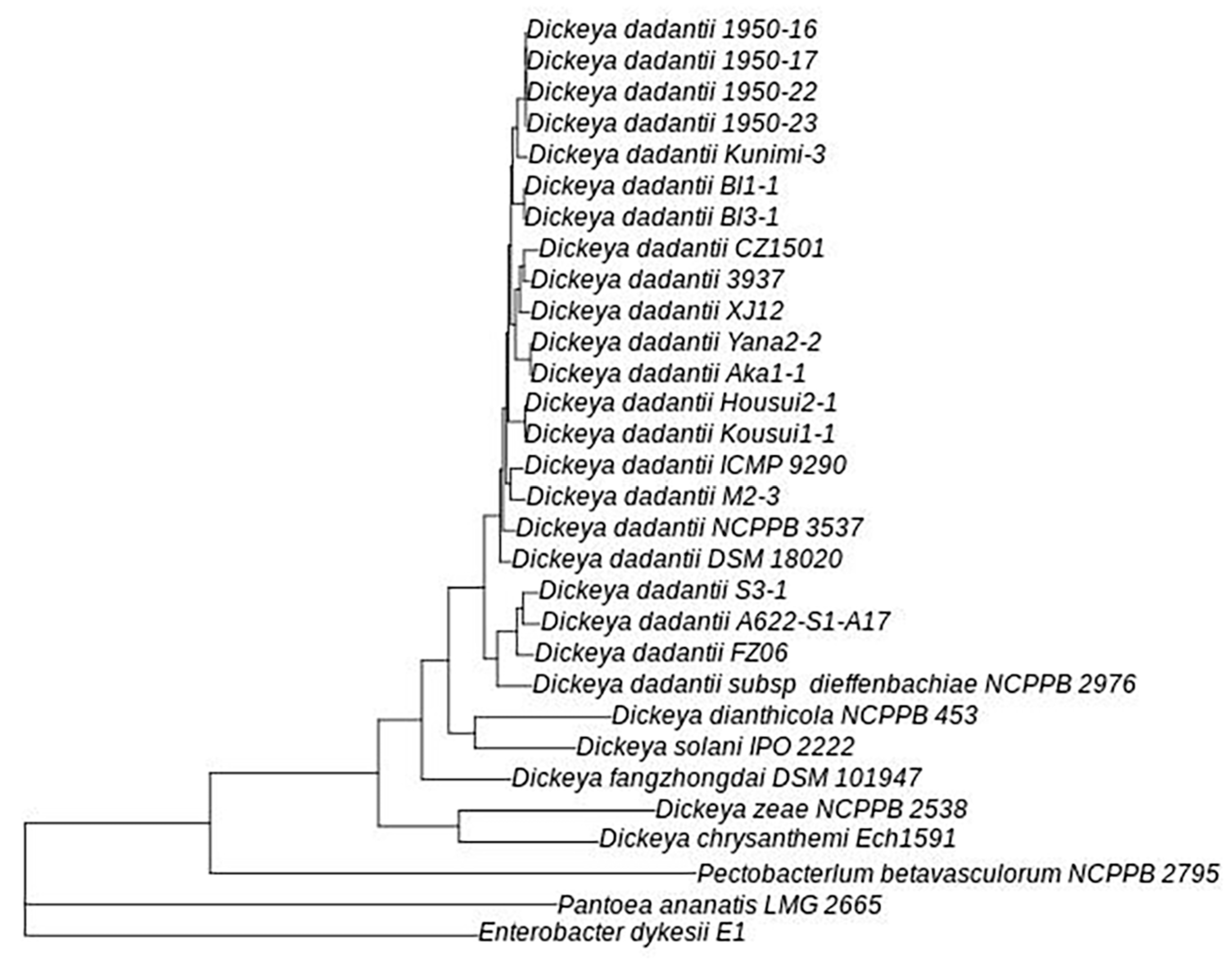 Agronomy 14 01342 g002