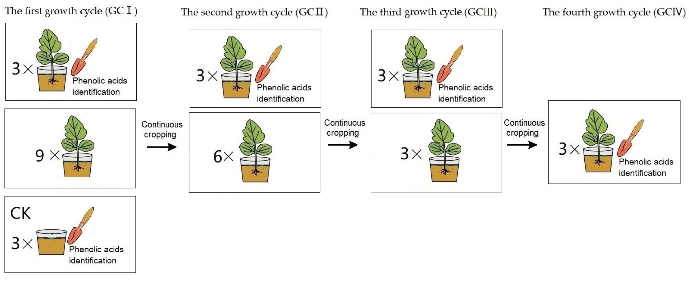 Agronomy 14 01344 g001