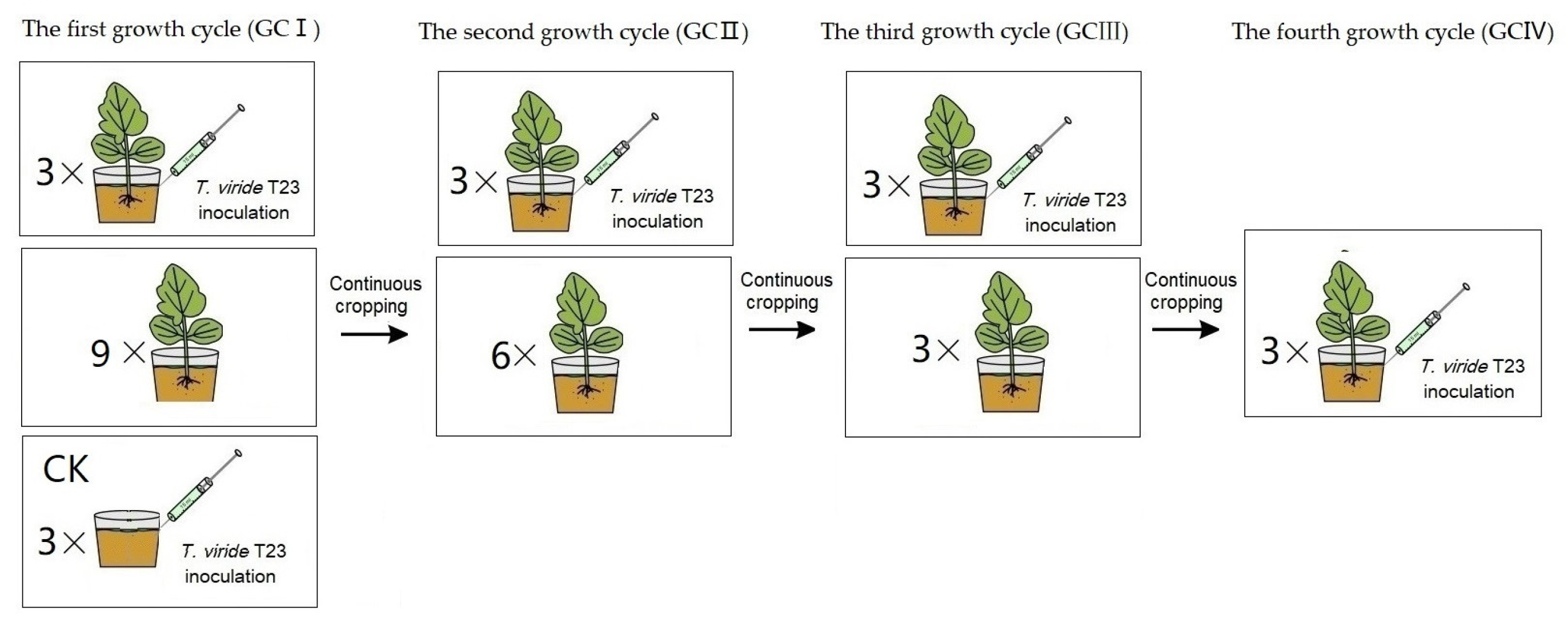 Agronomy 14 01344 g002