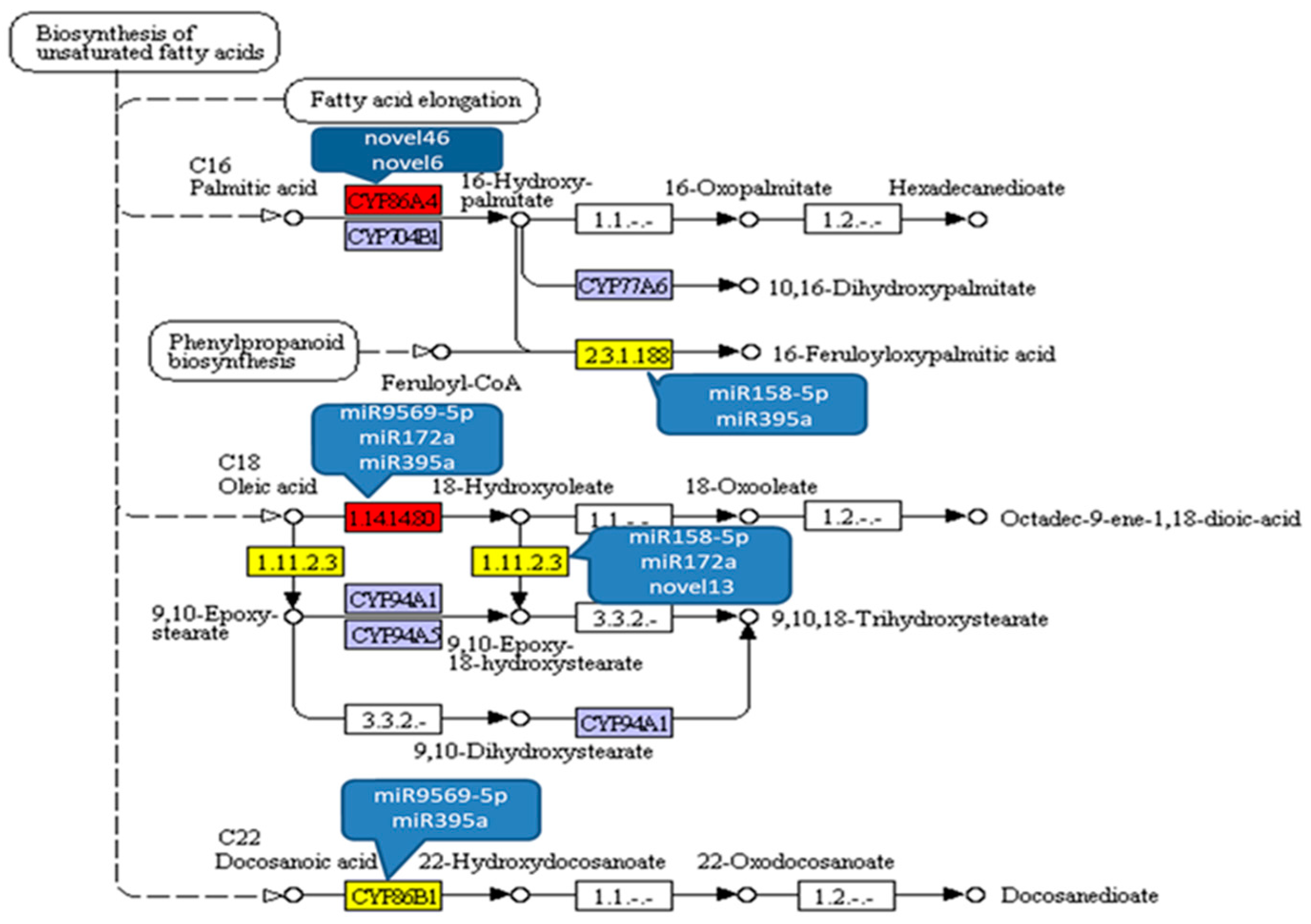 Agronomy 14 01358 g005