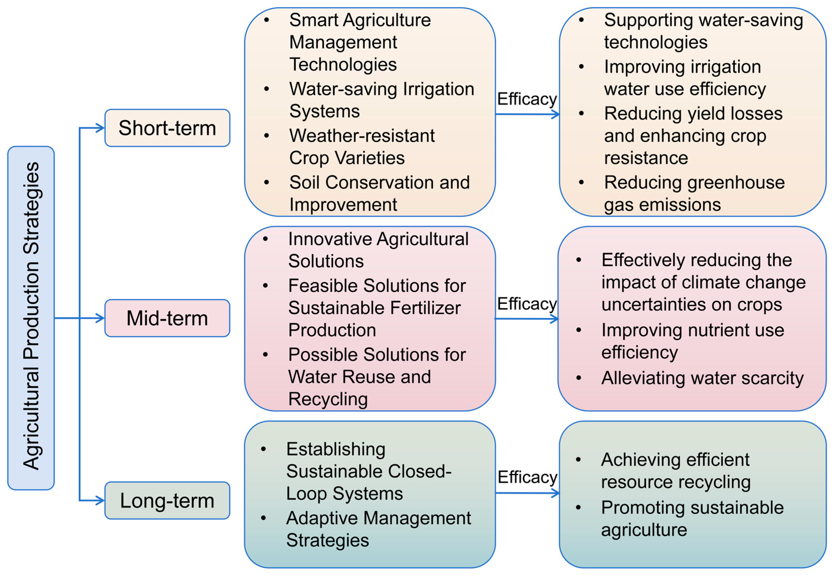 Agronomy 14 01360 g003