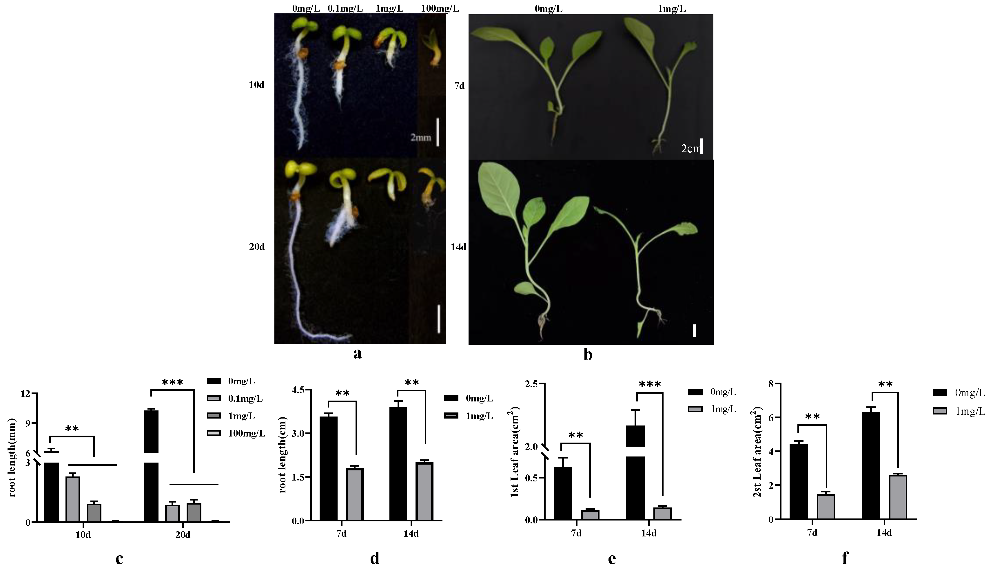 Agronomy 14 01364 g001