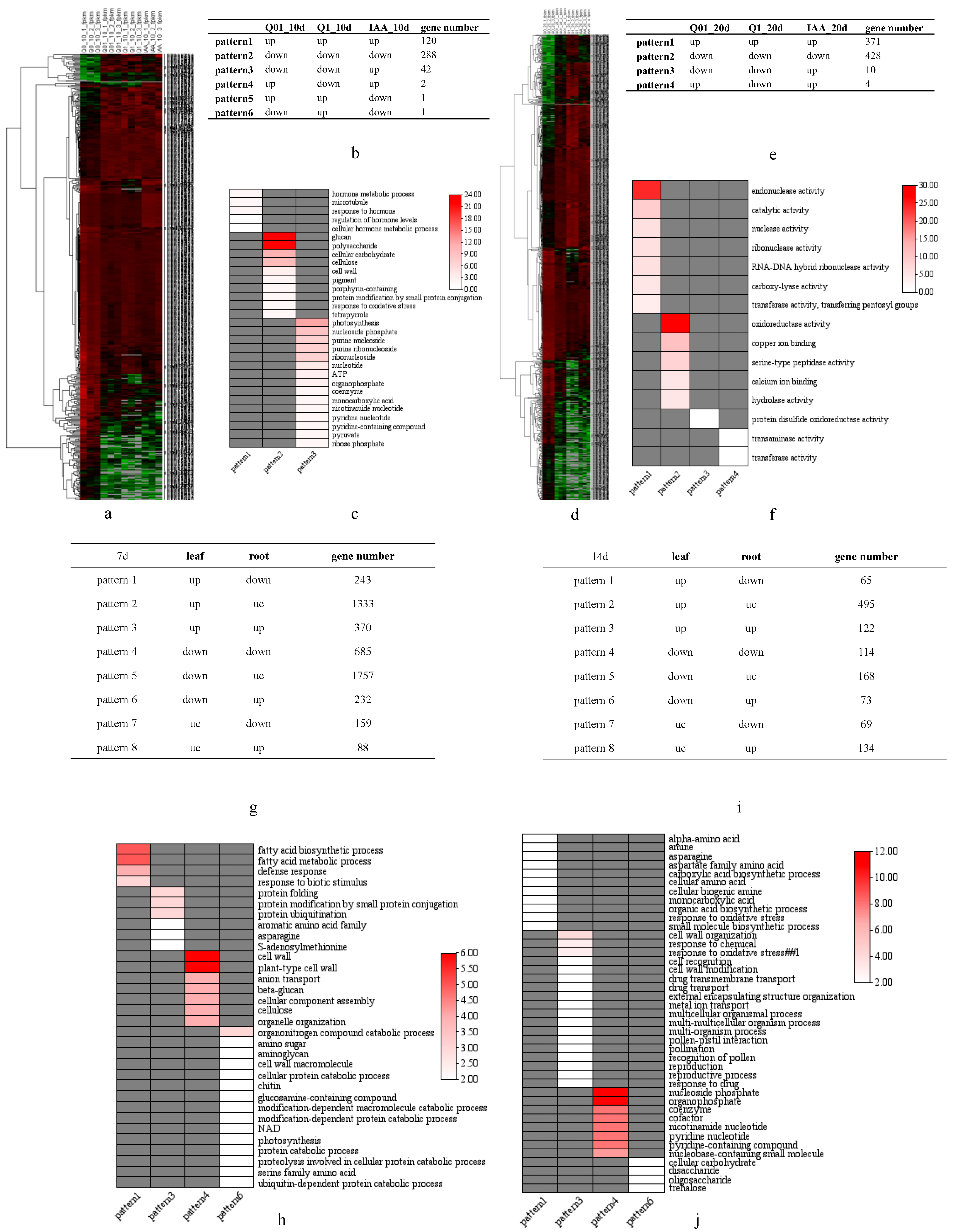 Agronomy 14 01364 g005