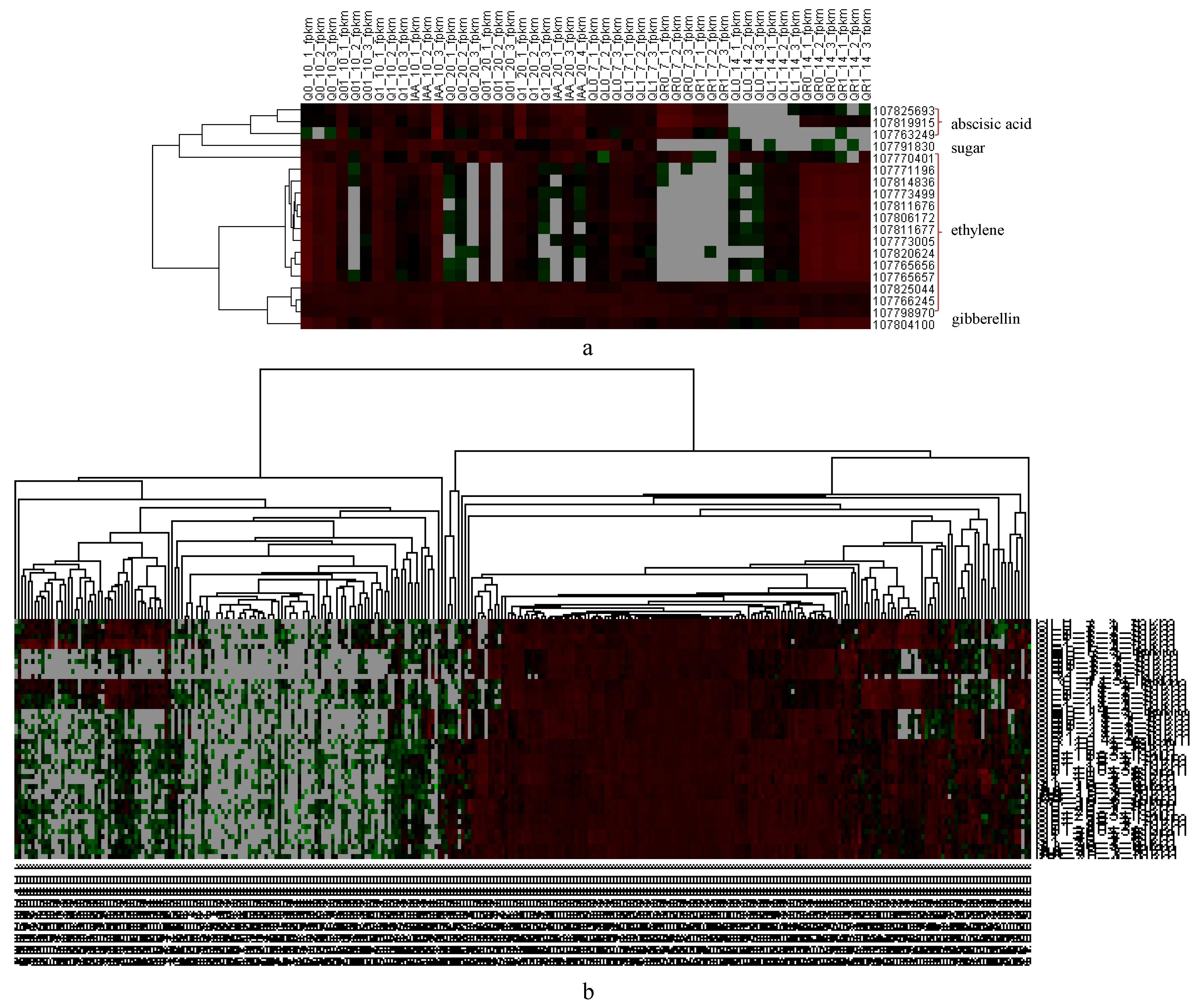 Agronomy 14 01364 g006
