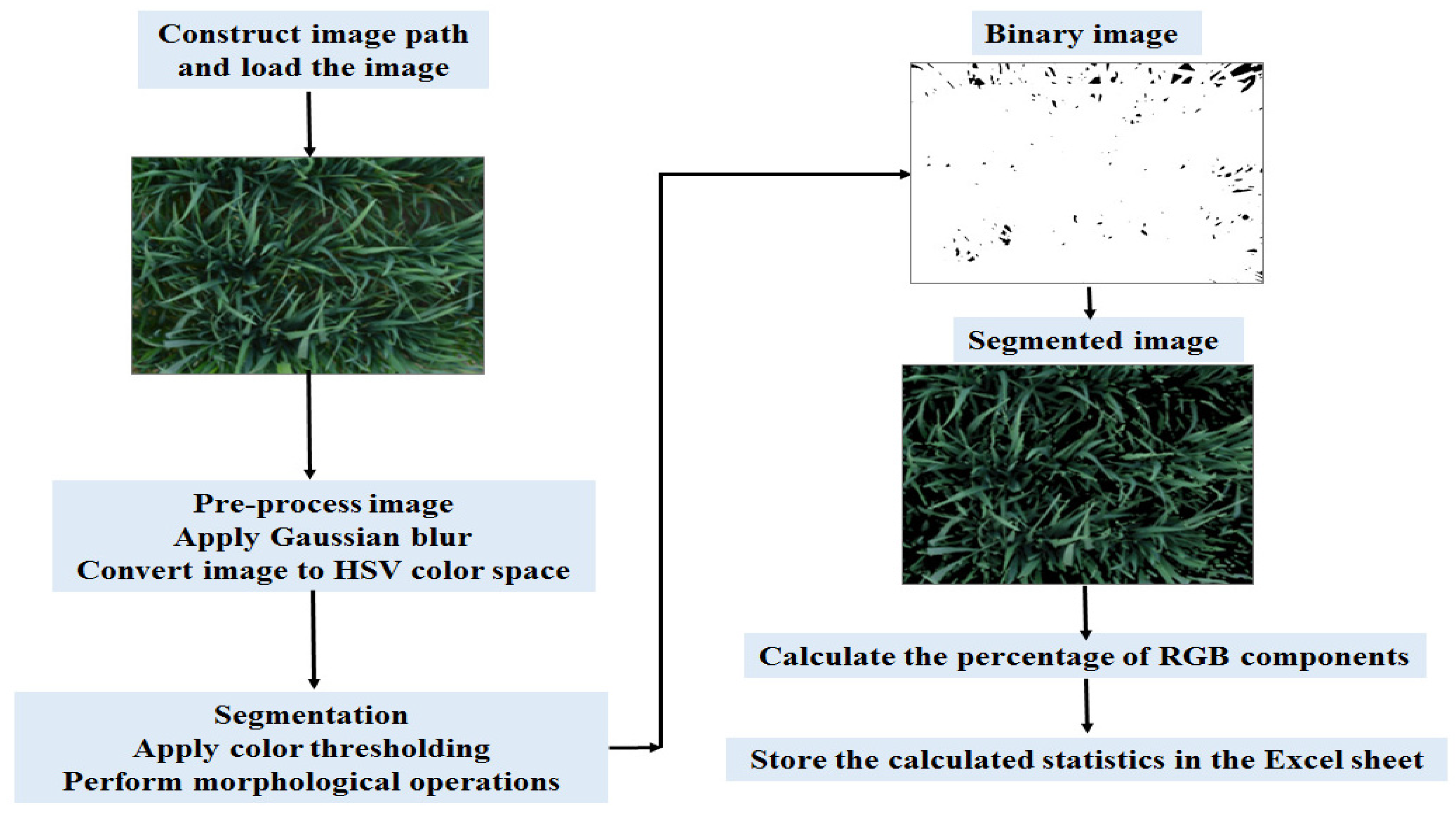 Agronomy 14 01390 g003
