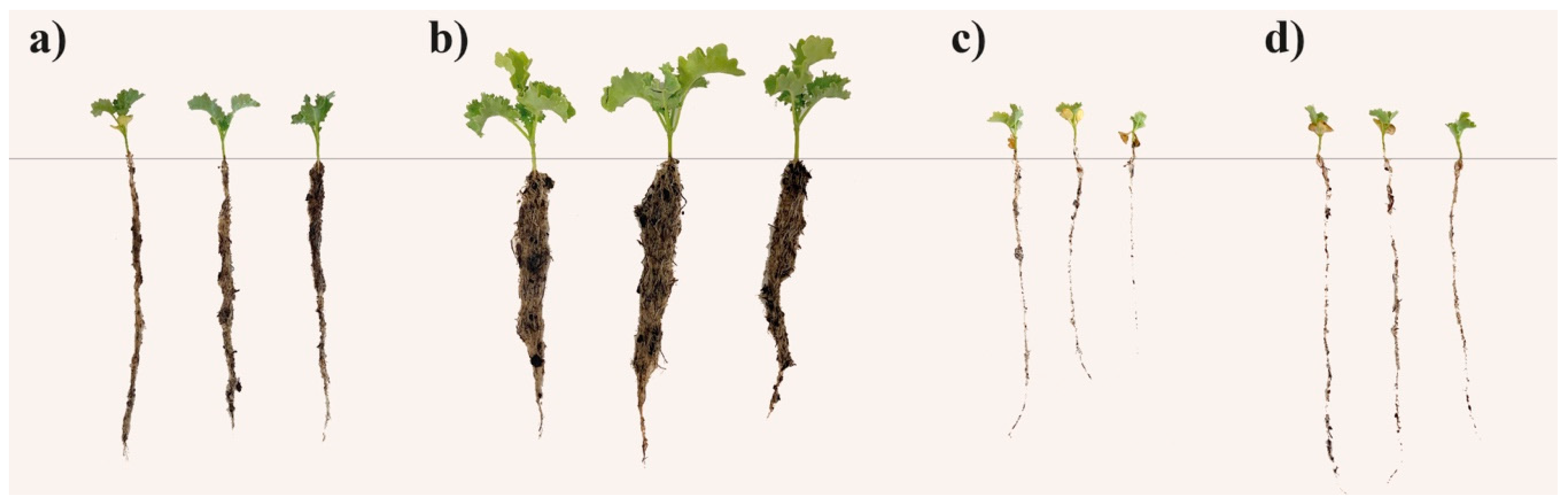 Agronomy 14 01392 g001