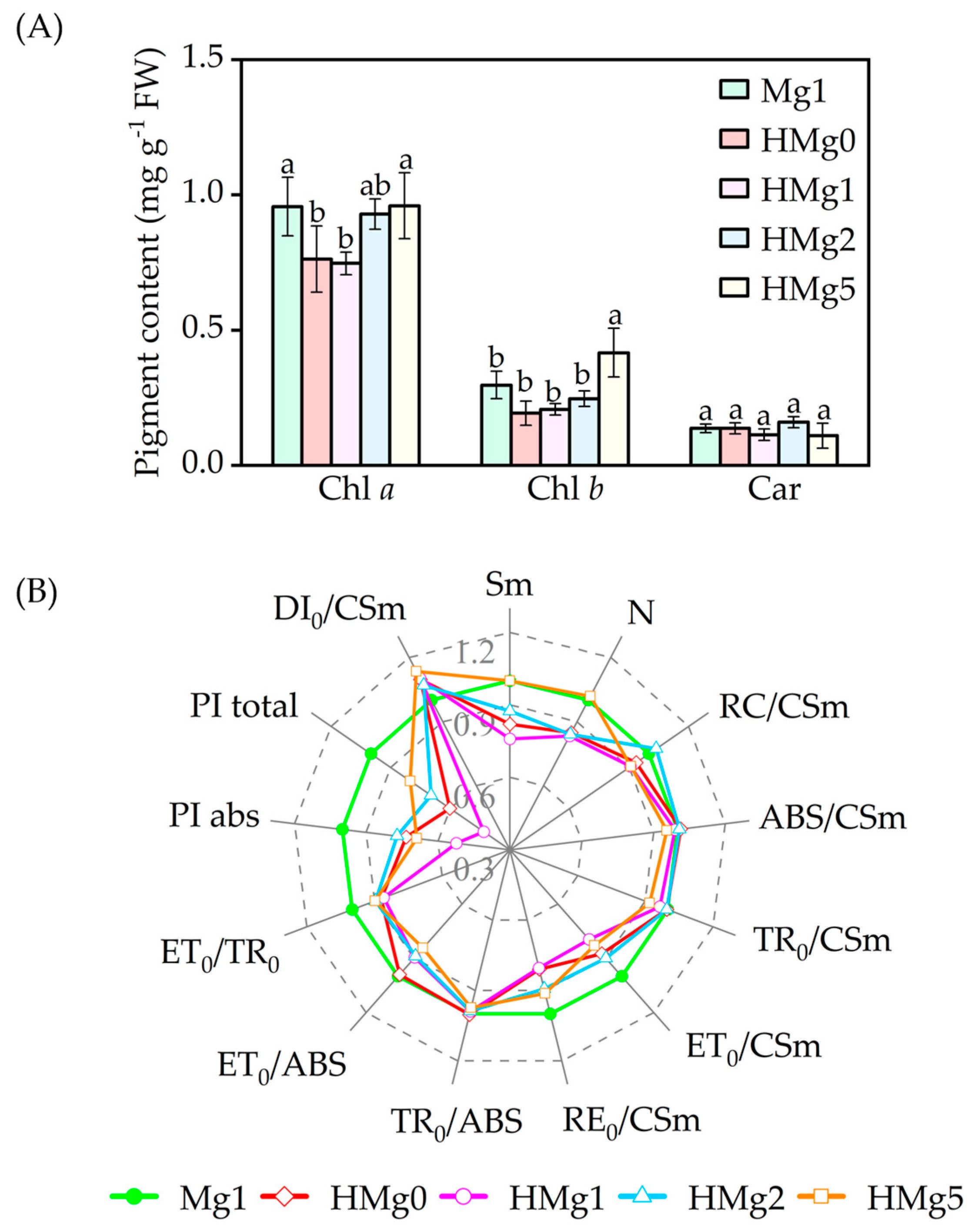 Agronomy 14 01396 g004