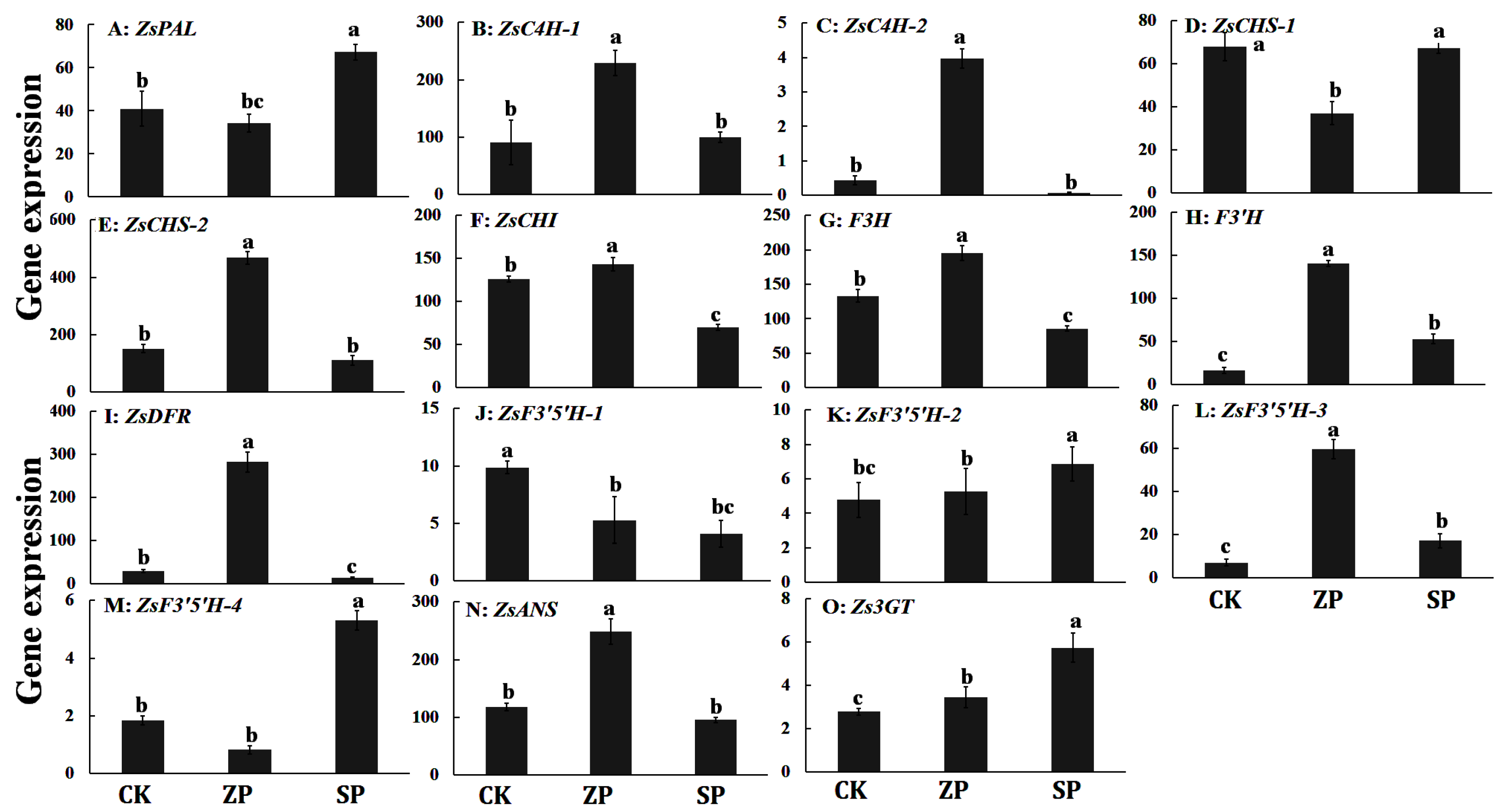 Agronomy 14 01414 g004