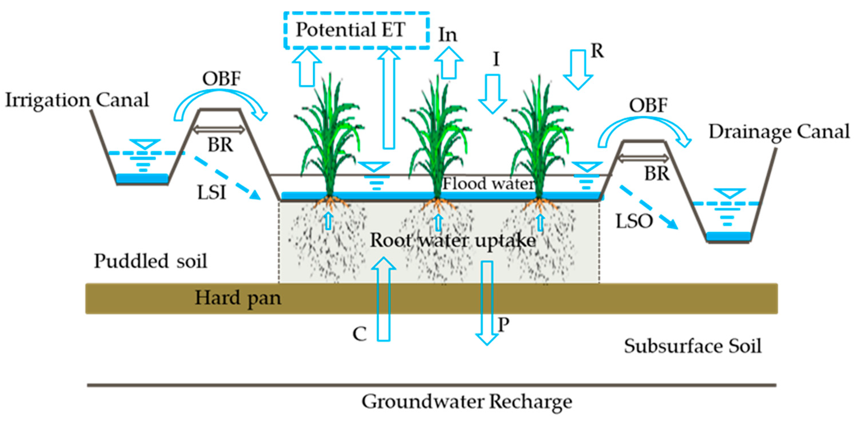 Agronomy 14 01421 g001