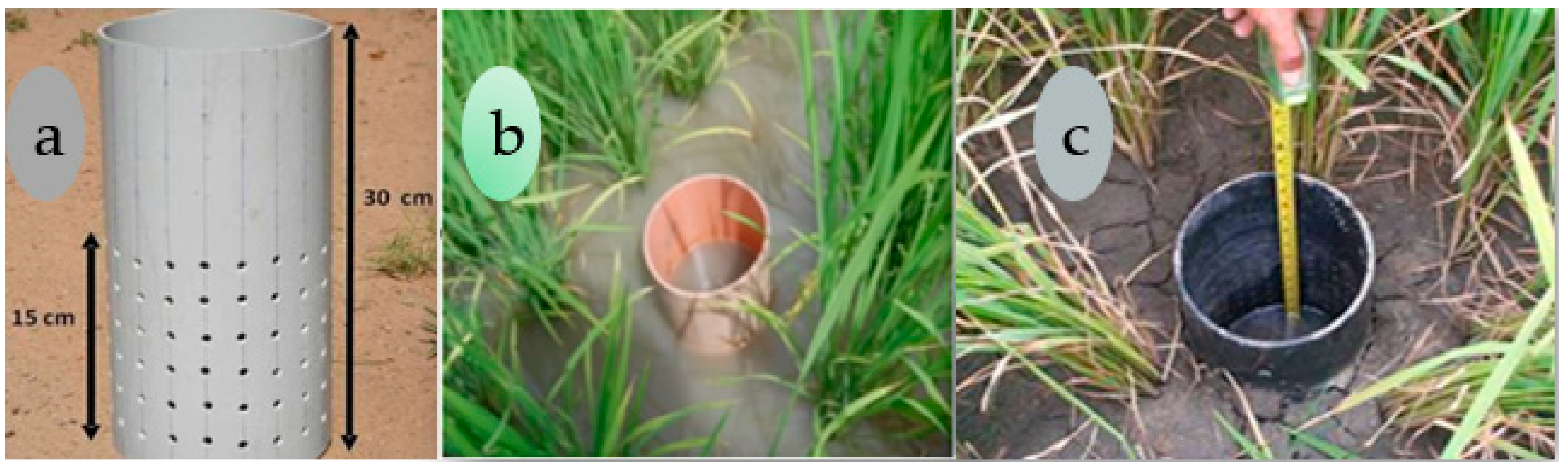 Agronomy 14 01421 g002