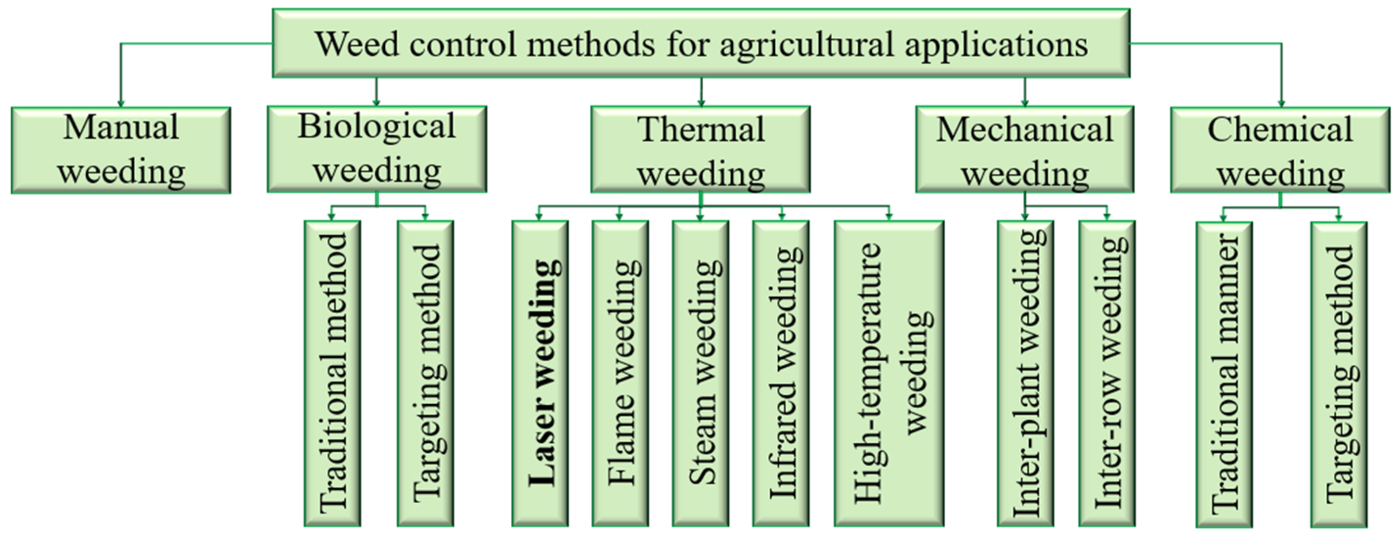 Agronomy 14 01426 g001