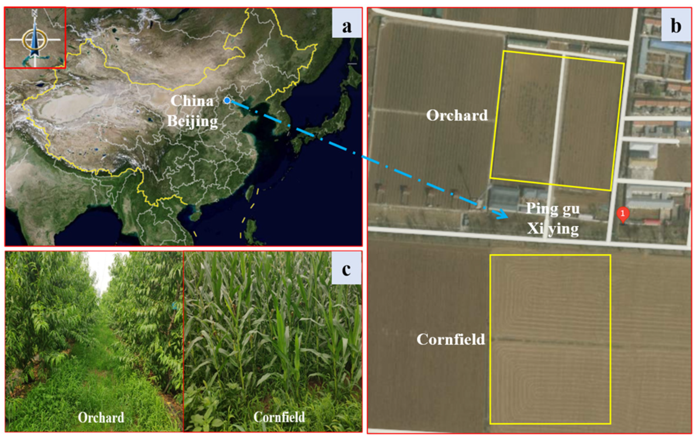 Agronomy 14 01426 g006
