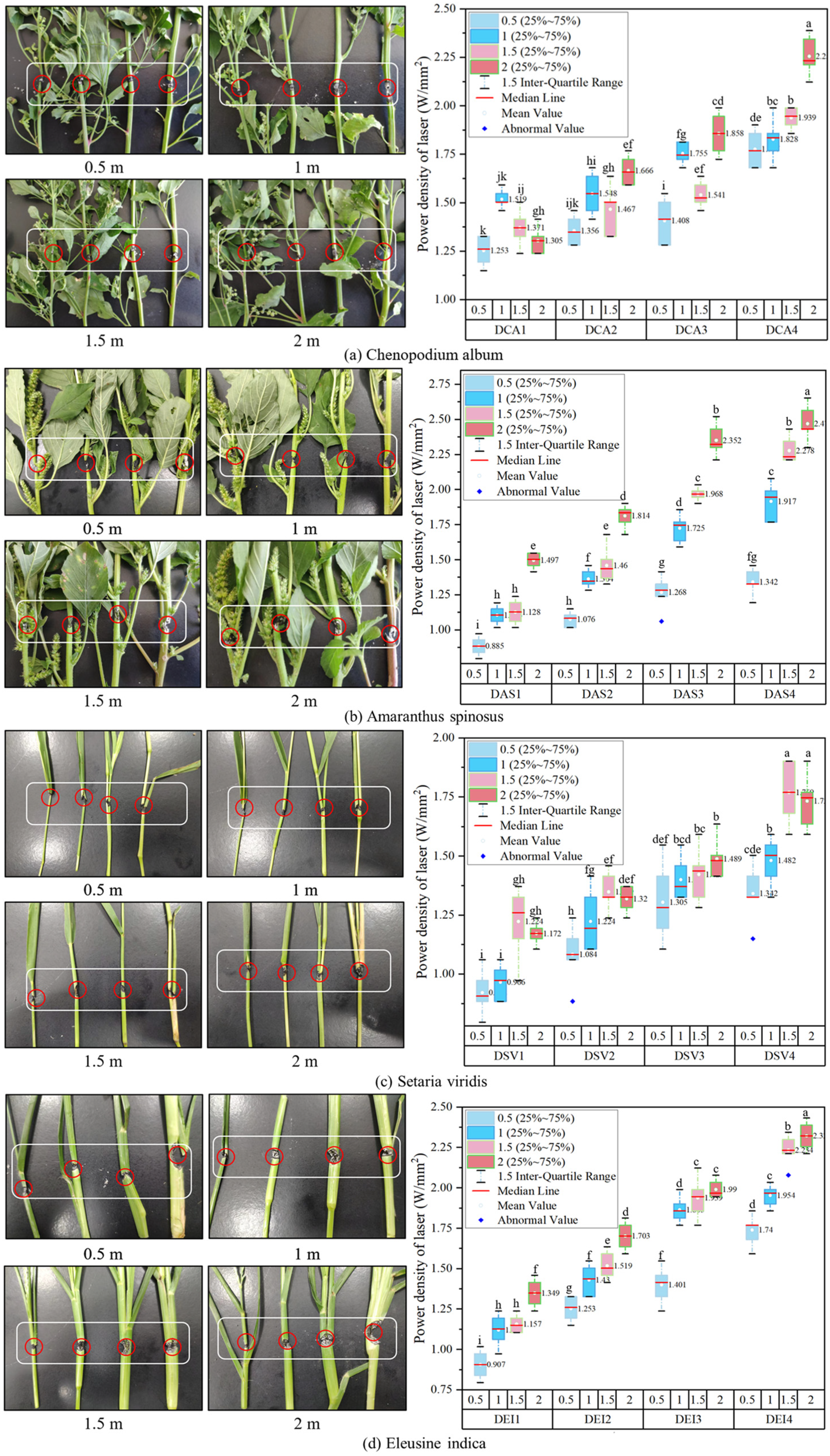 Agronomy 14 01426 g008