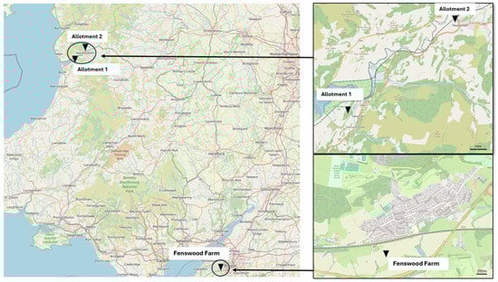 Agronomy 14 01446 g001