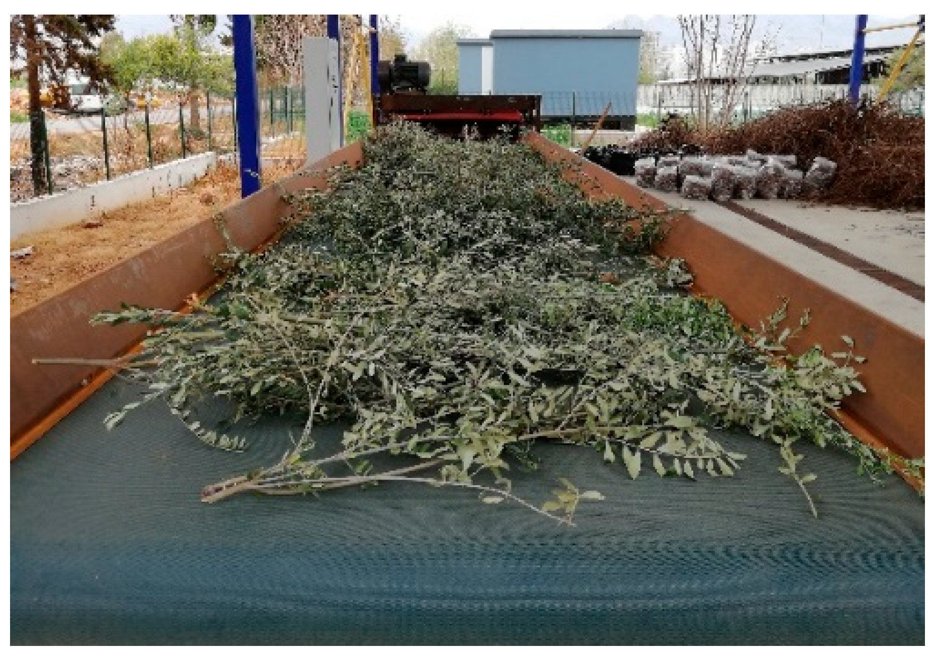 Agronomy 14 01455 g003