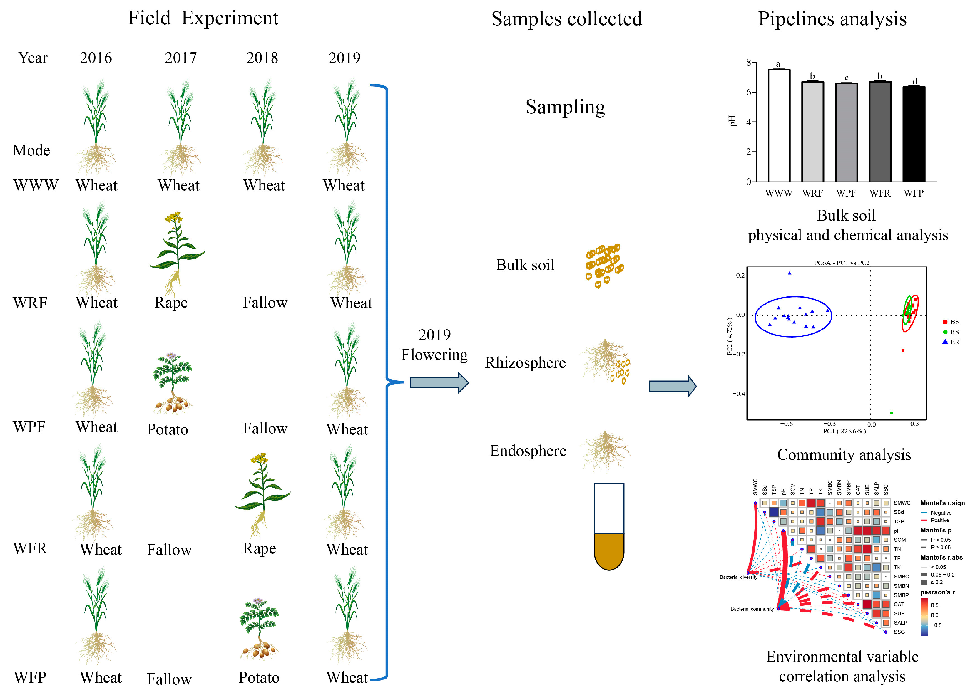 Agronomy 14 01456 g001