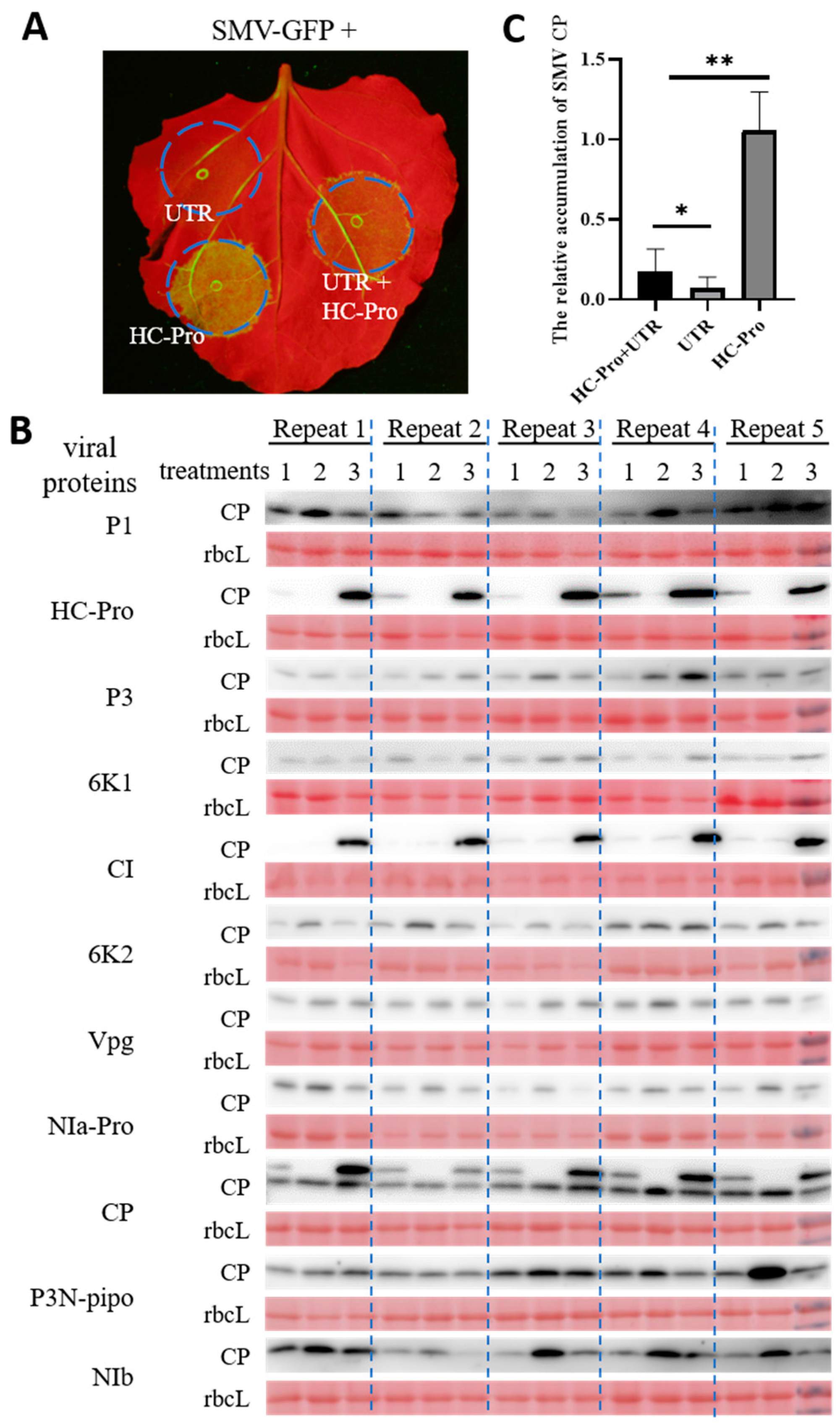 Agronomy 14 01457 g002