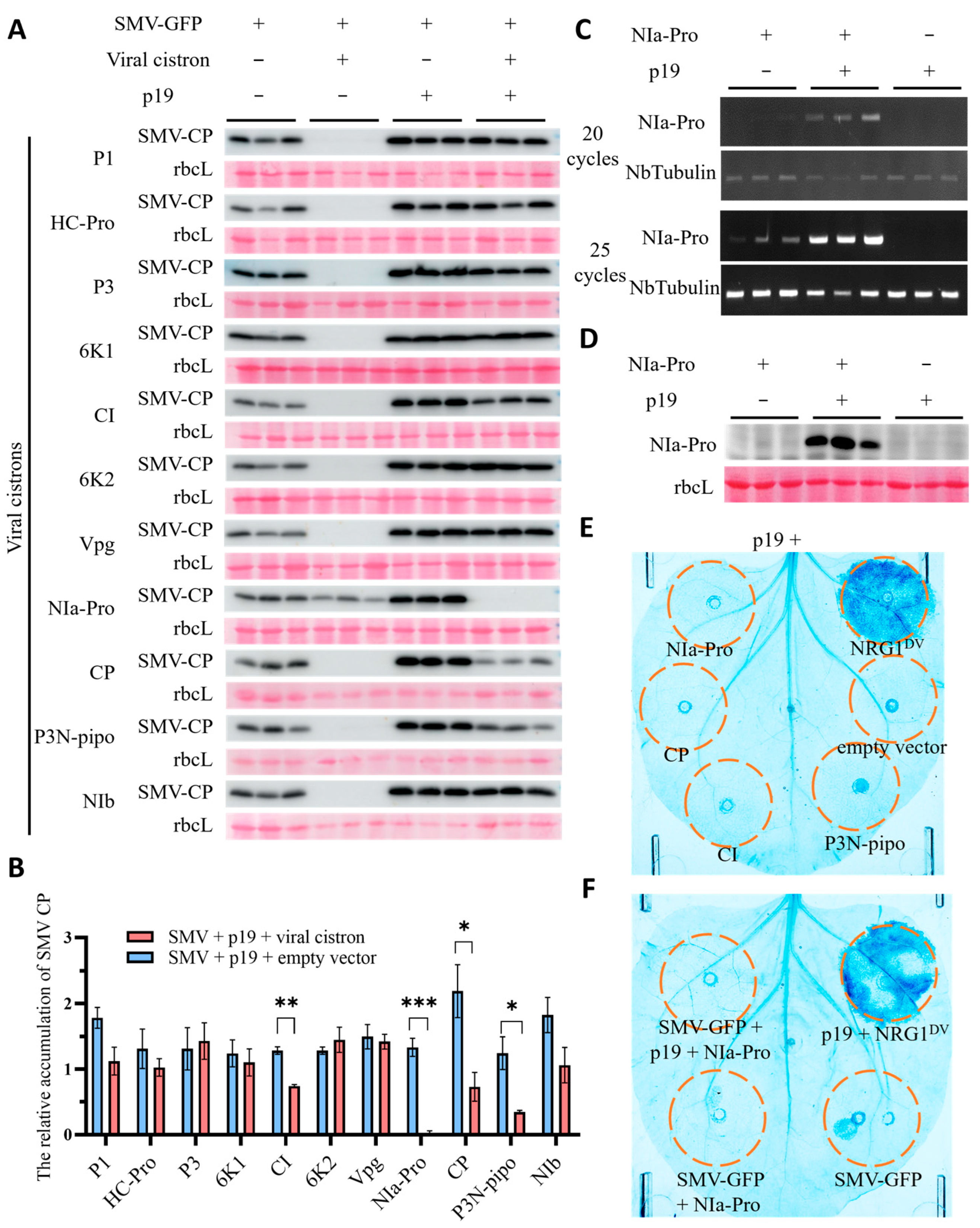 Agronomy 14 01457 g005