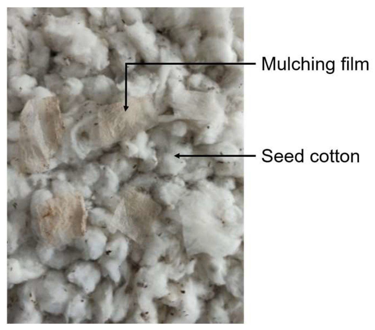 Agronomy 14 01481 g001