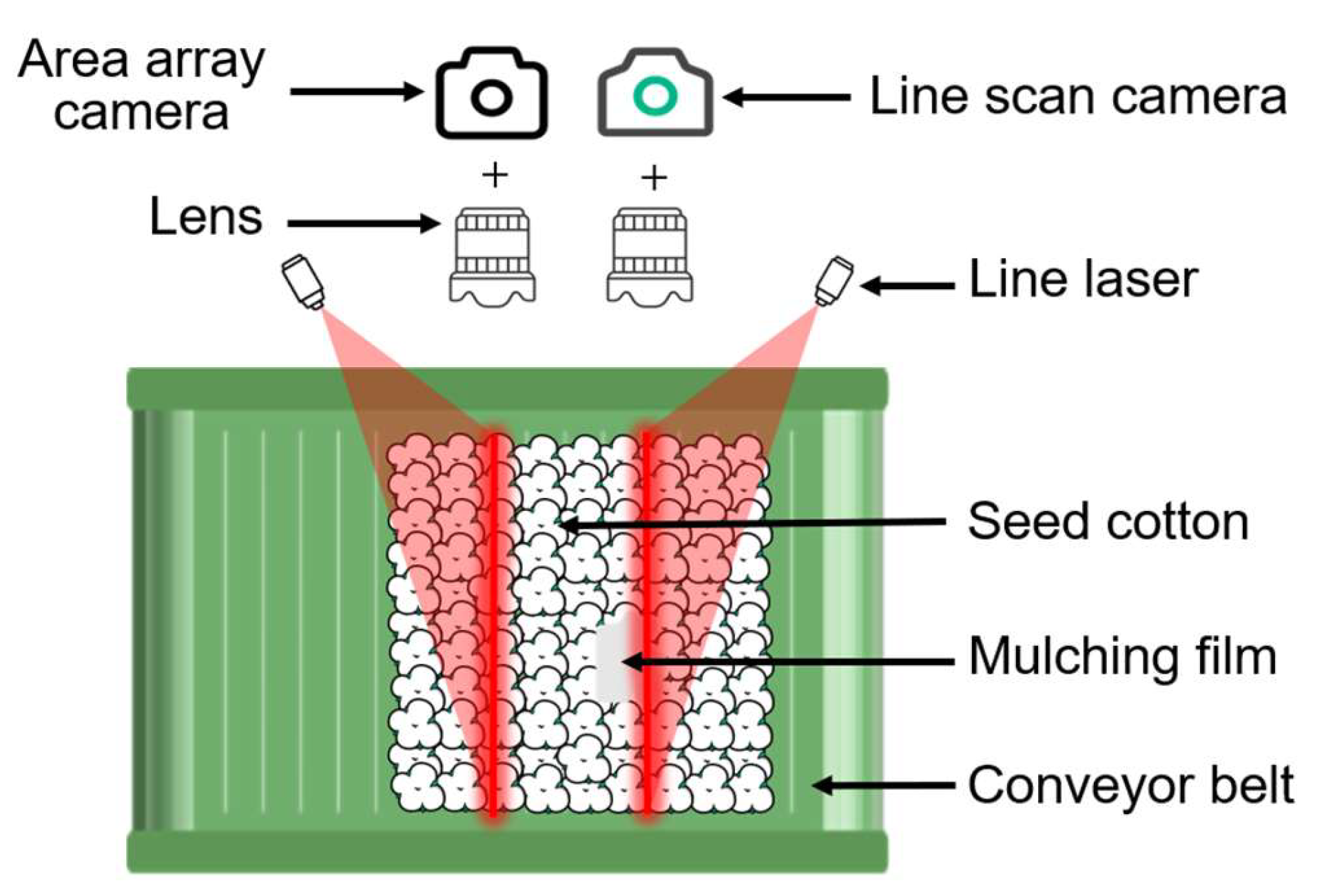 Agronomy 14 01481 g002