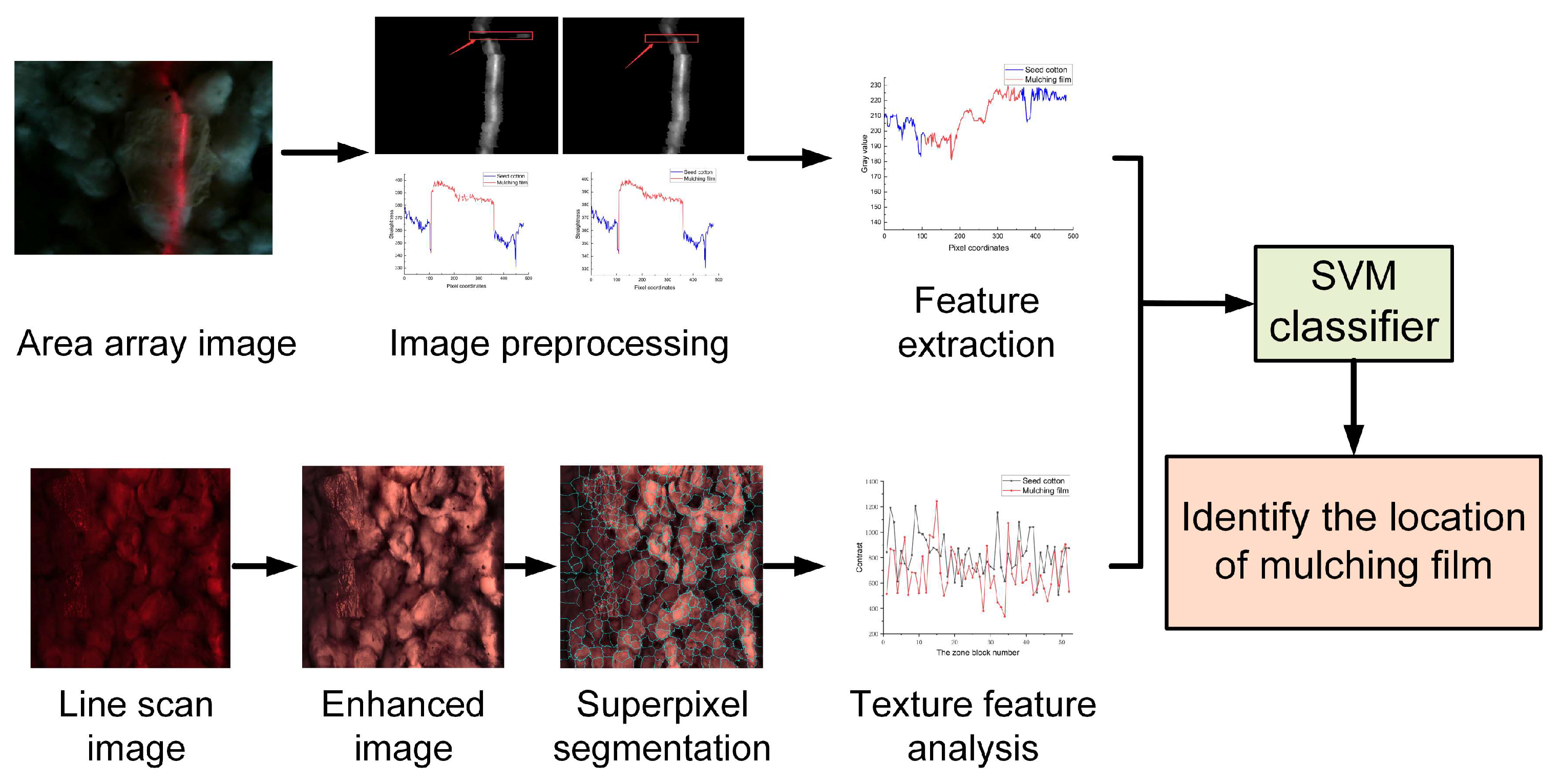 Agronomy 14 01481 g003