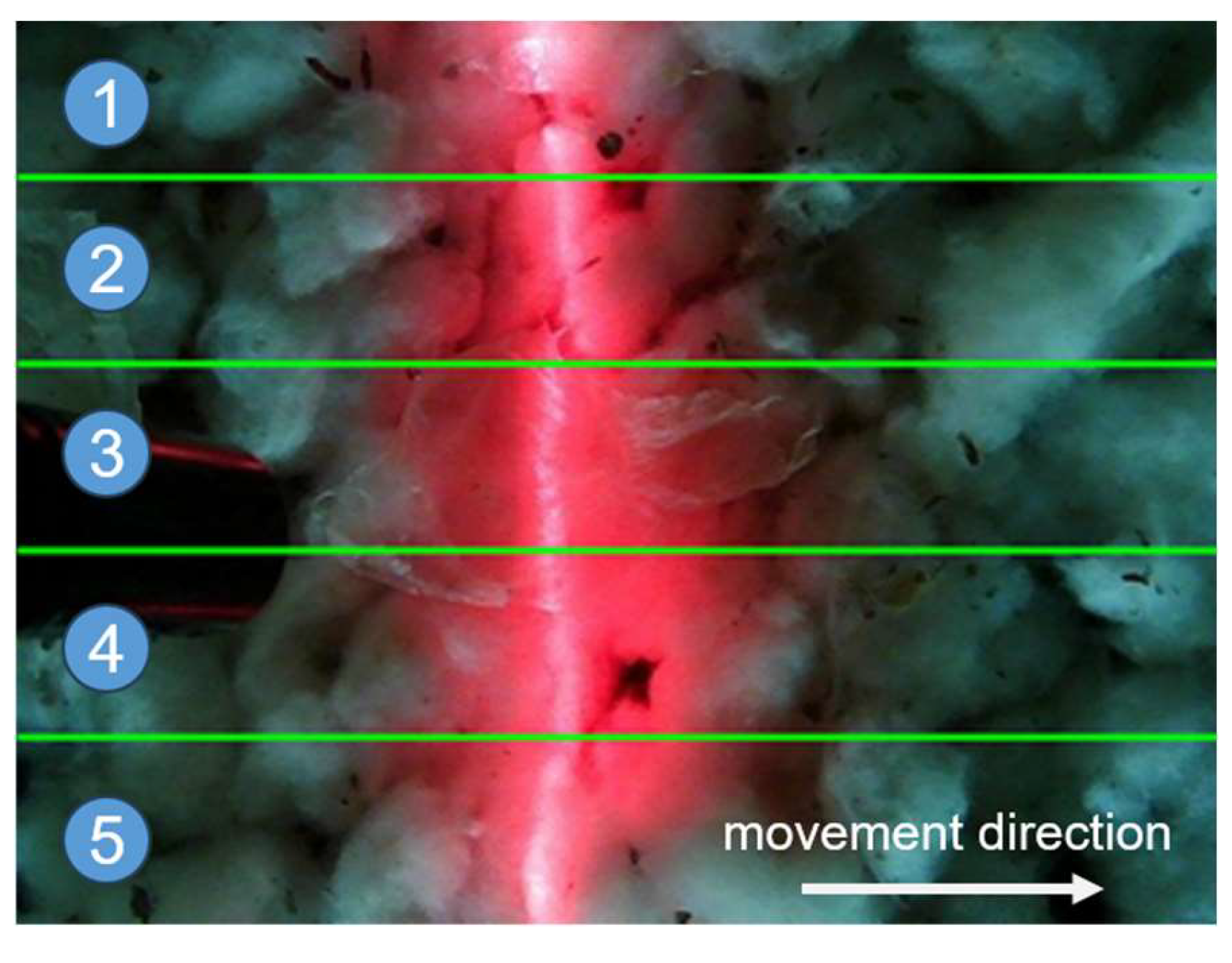 Agronomy 14 01481 g004