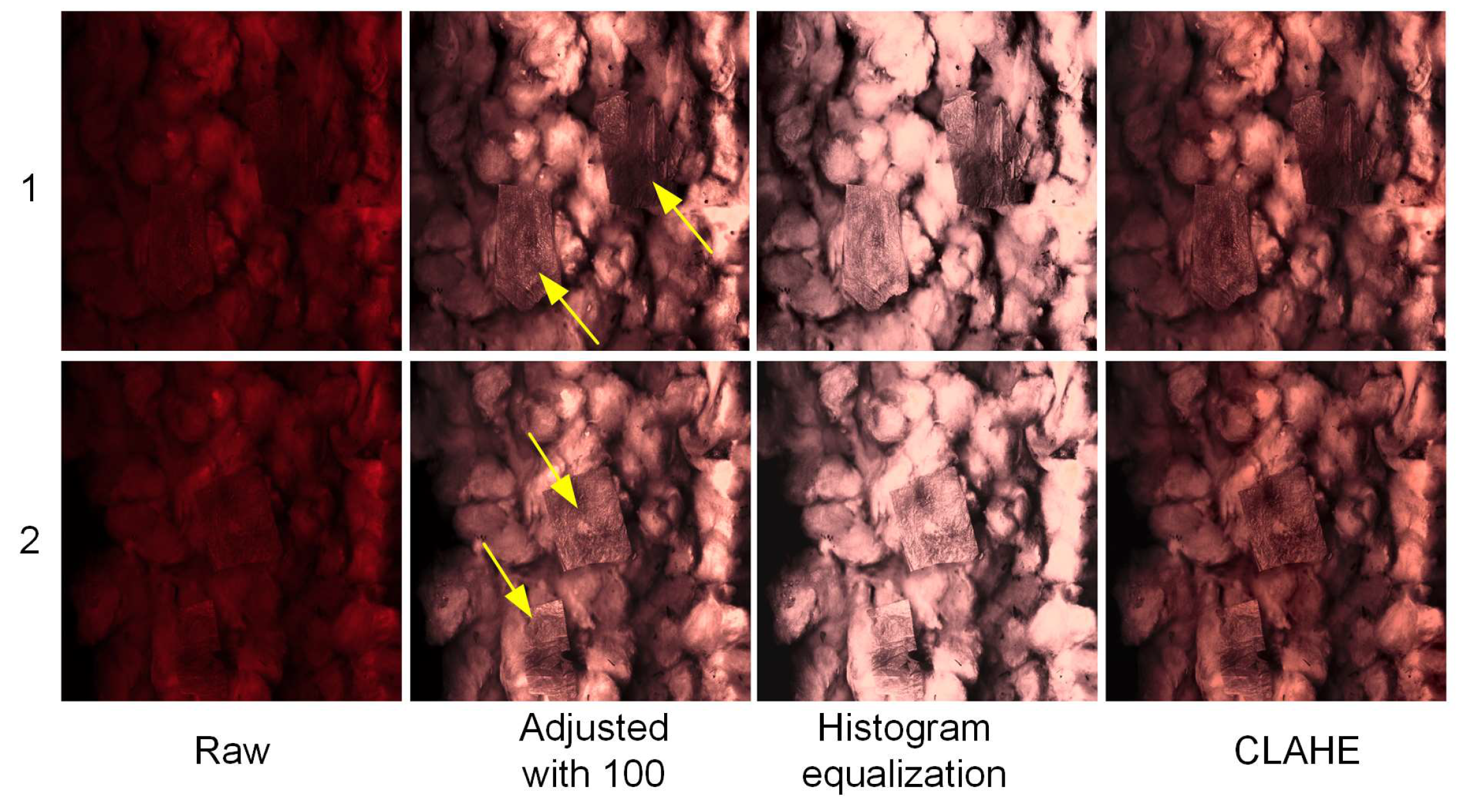 Agronomy 14 01481 g007