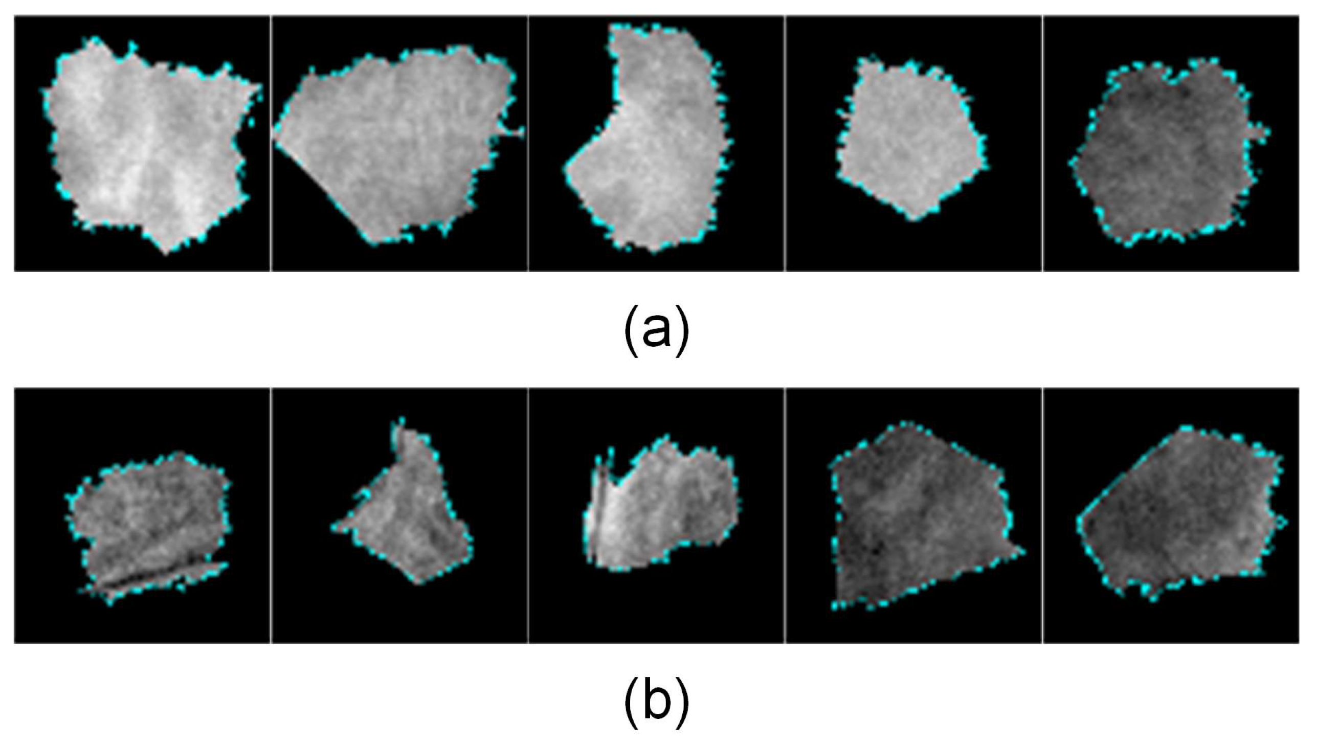 Agronomy 14 01481 g010