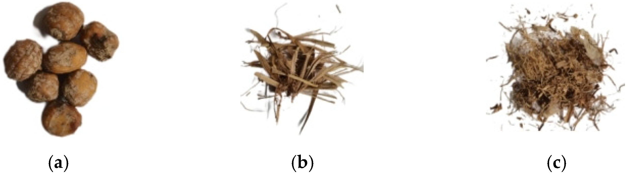 Agronomy 14 01485 g001