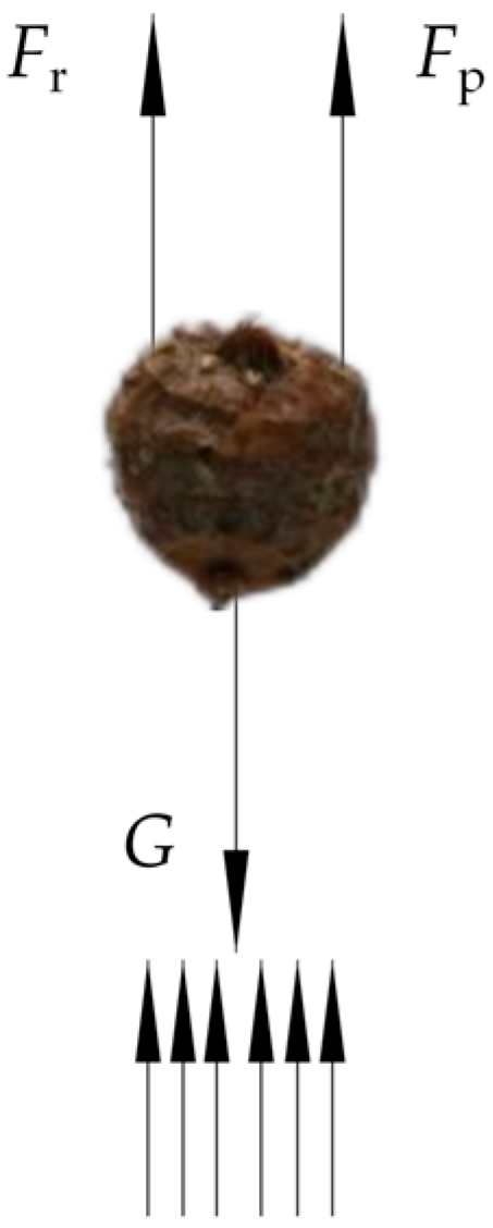 Agronomy 14 01485 g002