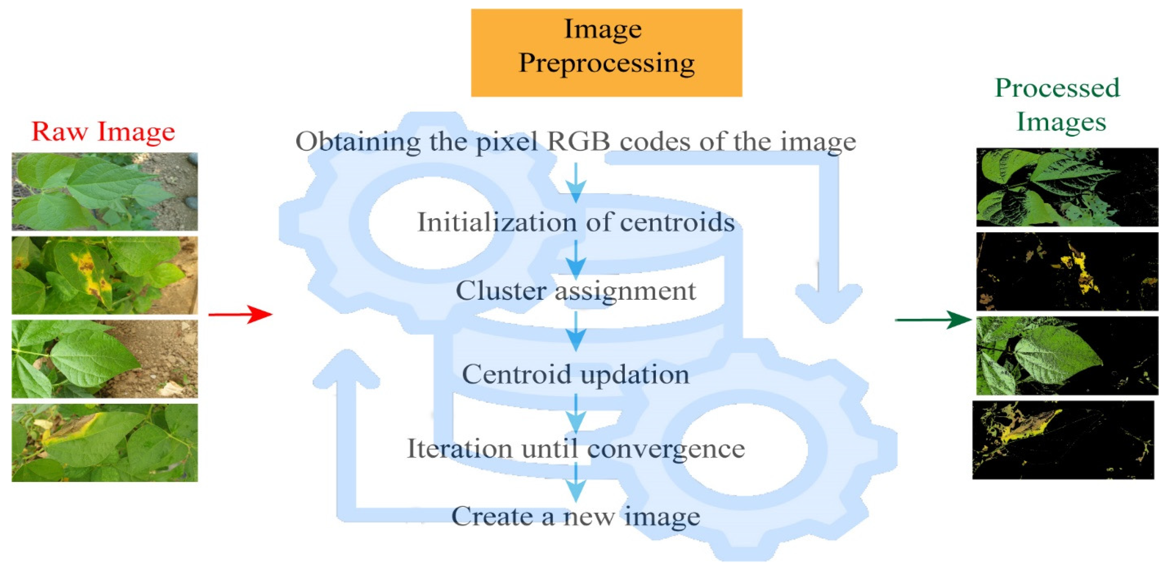 Agronomy 14 01495 g004