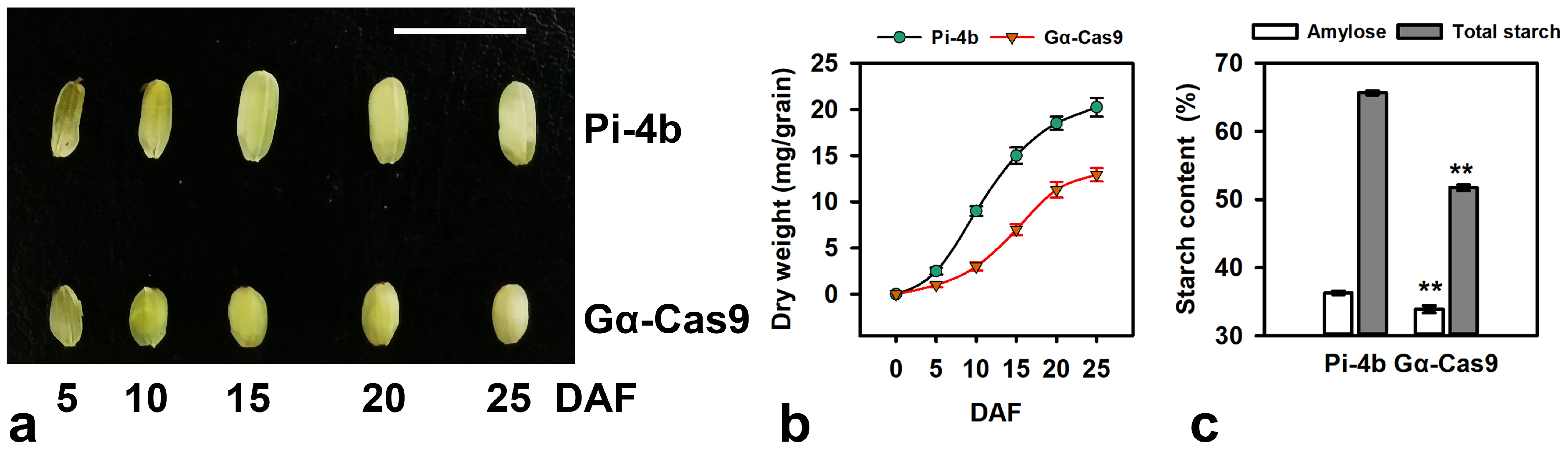Agronomy 14 01514 g002