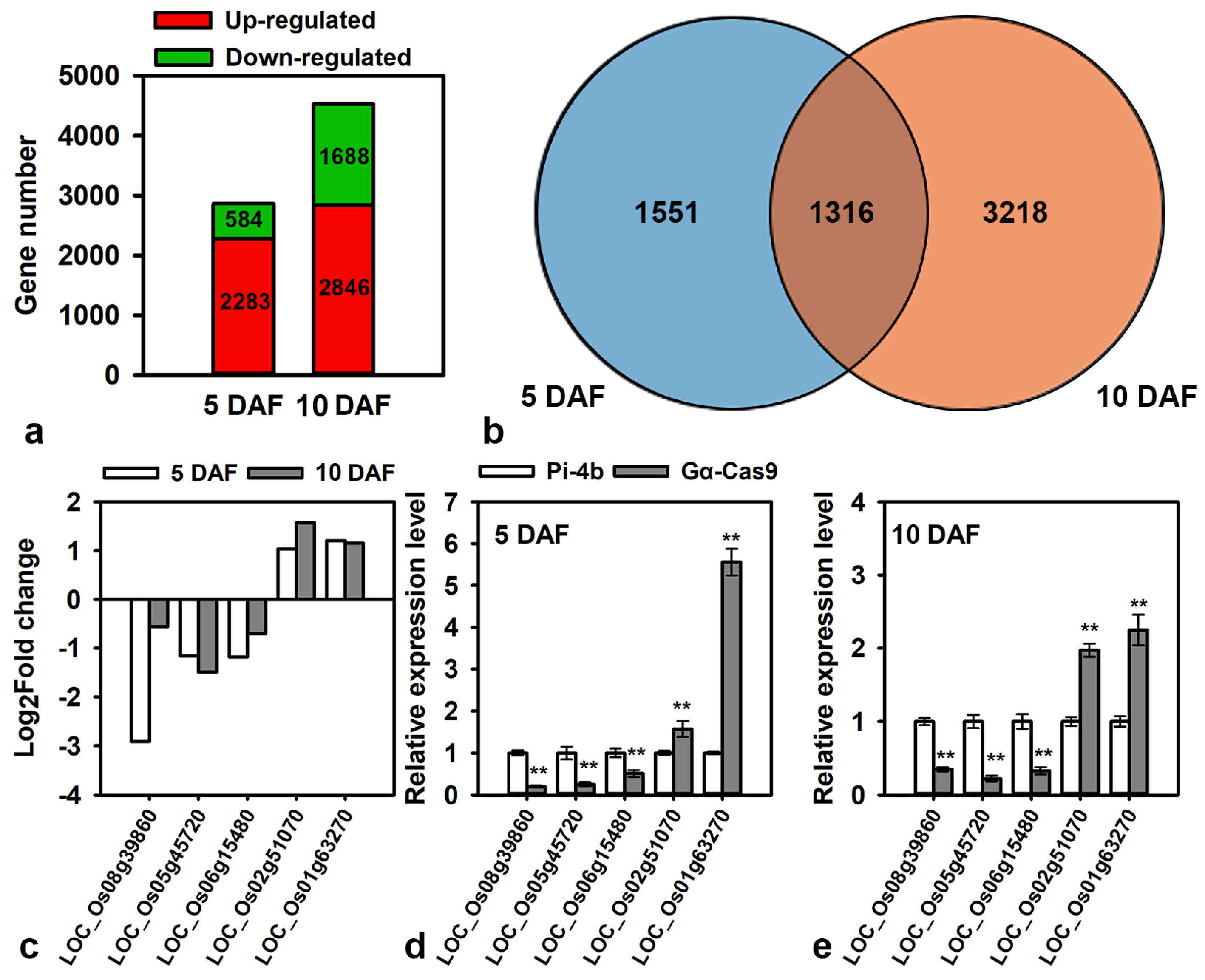 Agronomy 14 01514 g003