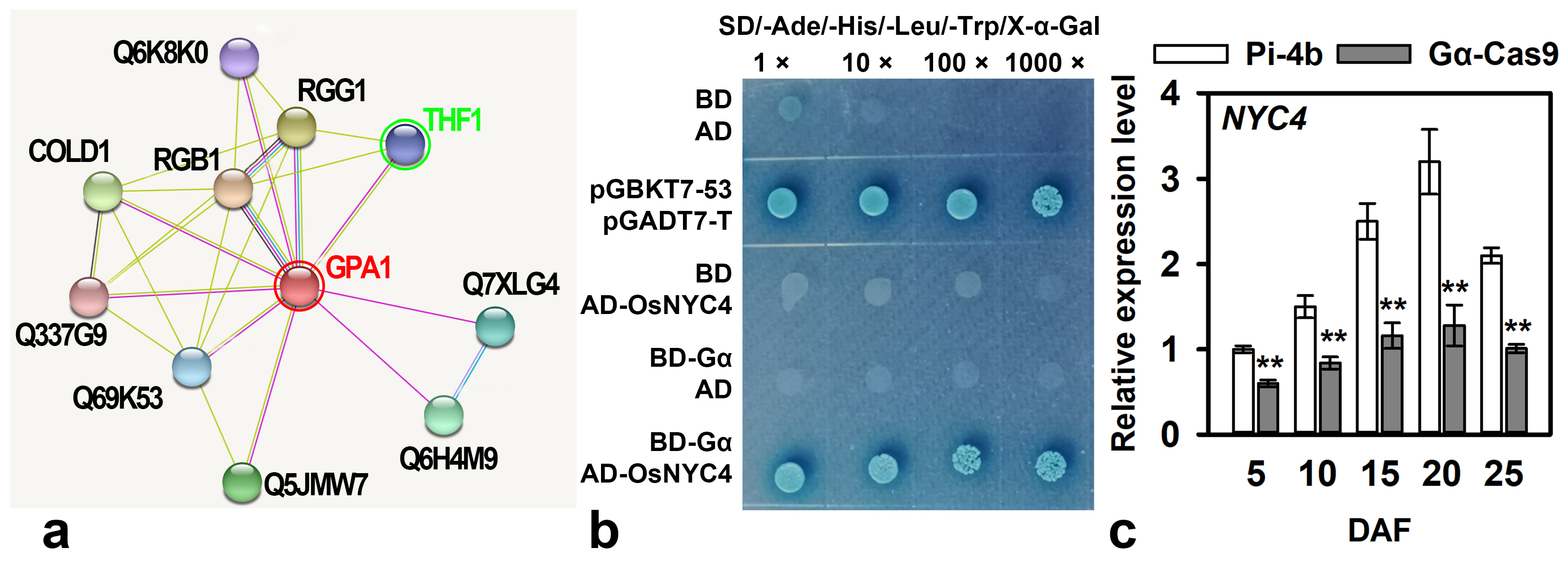 Agronomy 14 01514 g007