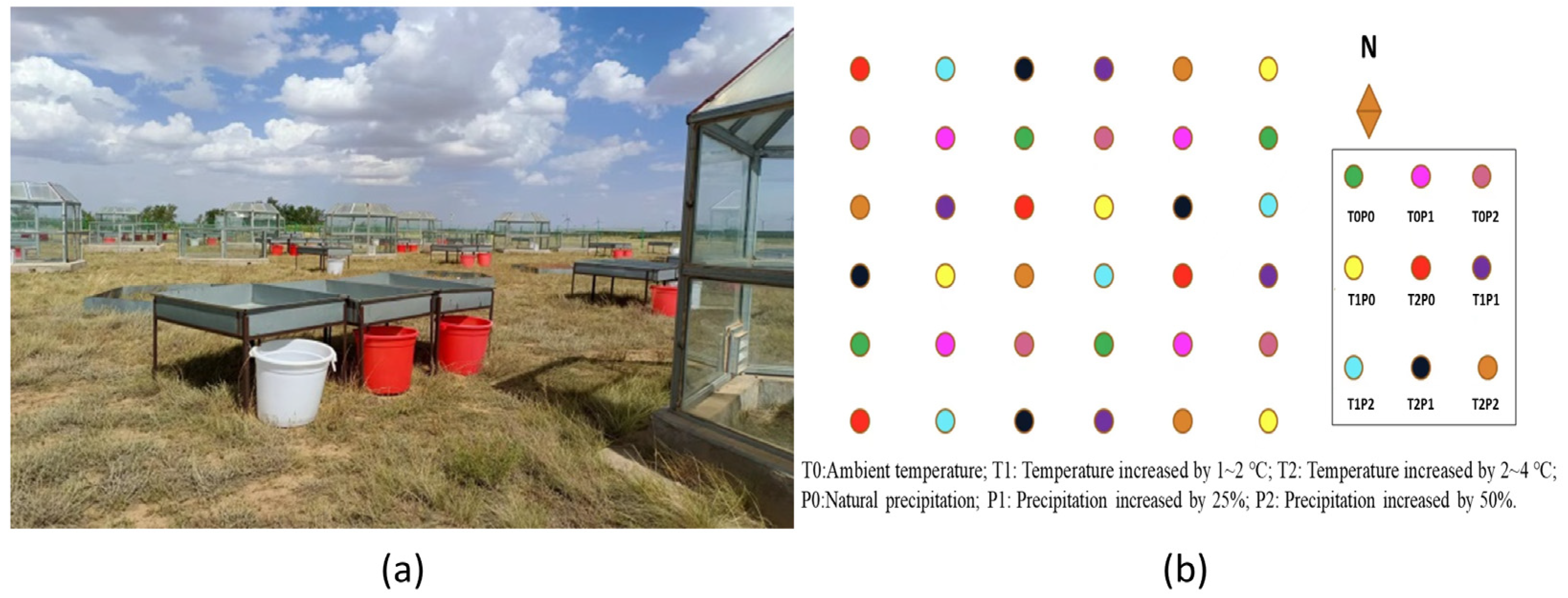 Agronomy 14 01521 g001