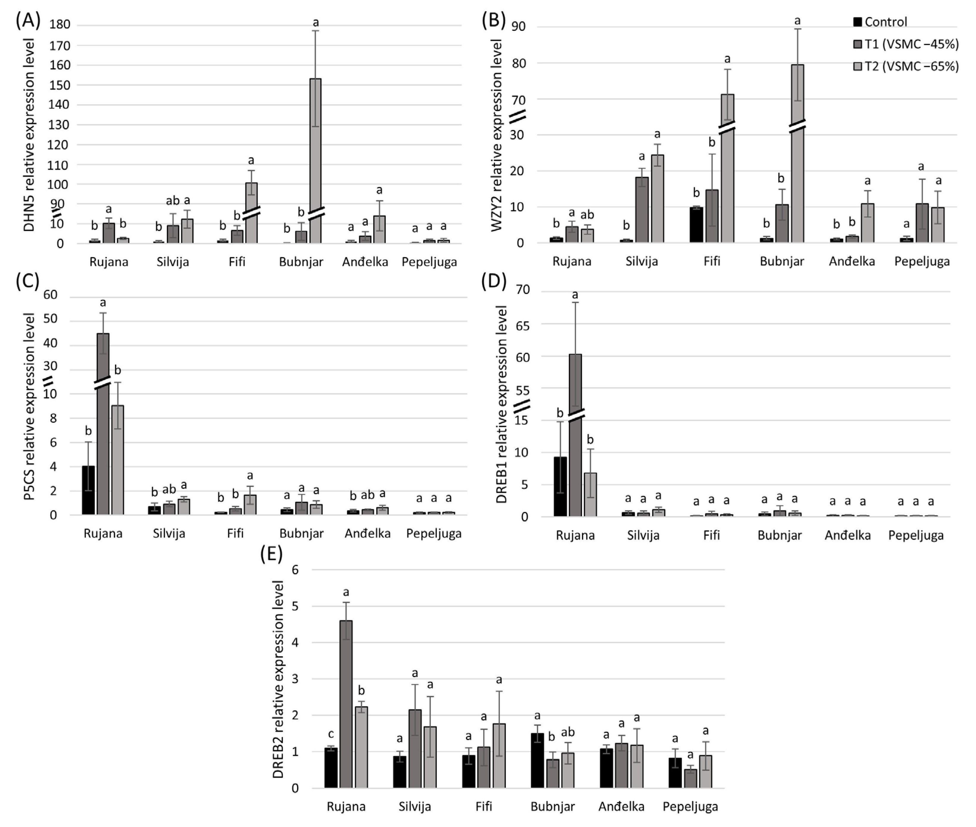 Agronomy 14 01522 g005