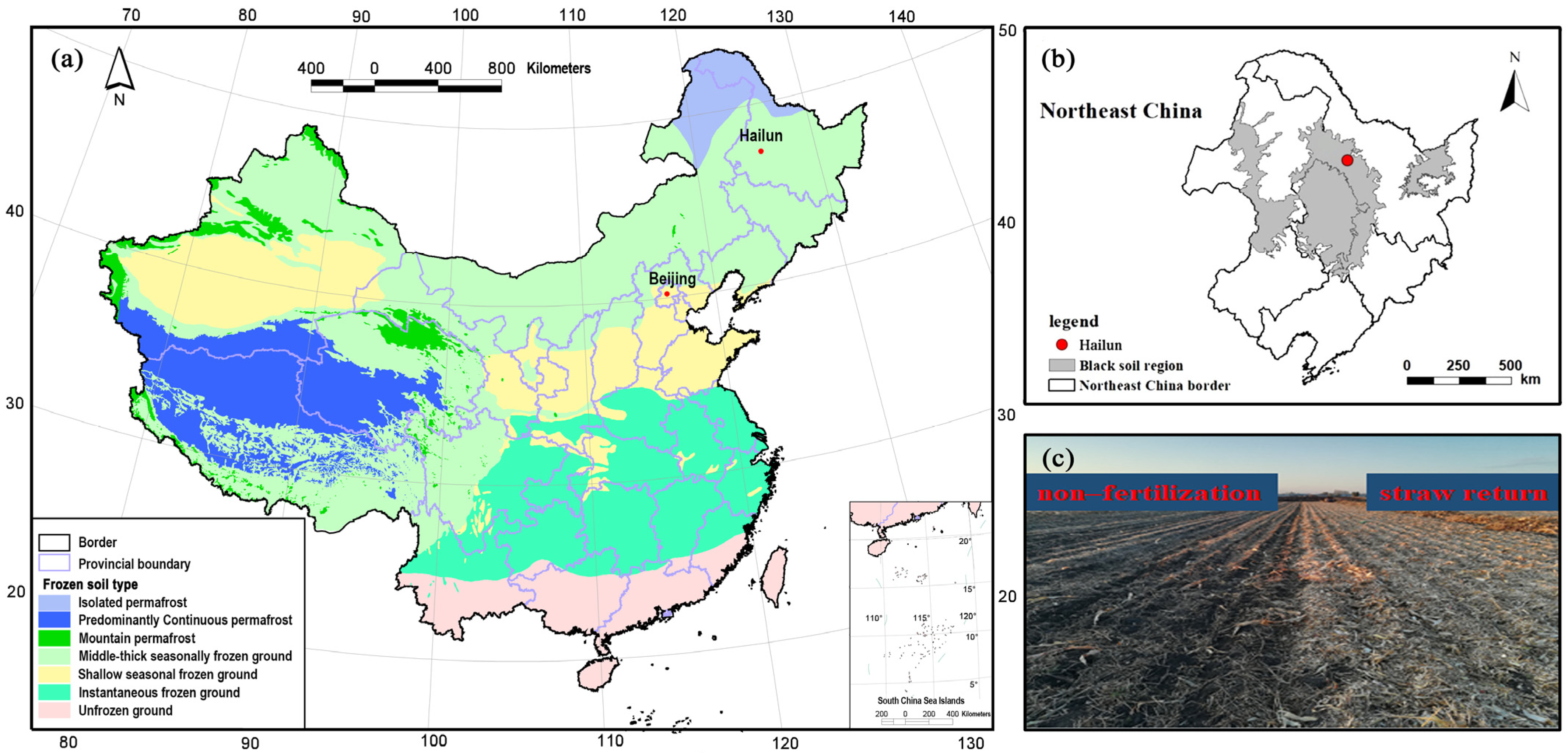 Agronomy 14 01525 g001
