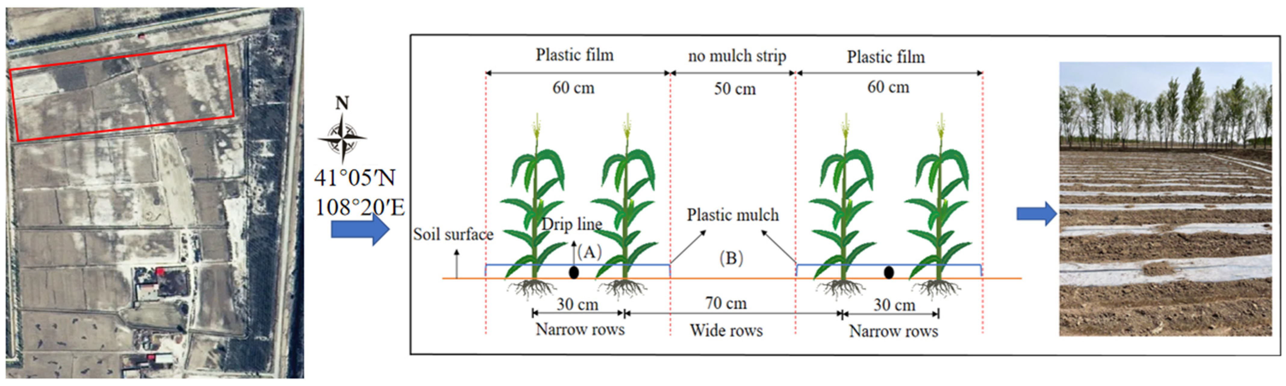 Agronomy 14 01529 g002