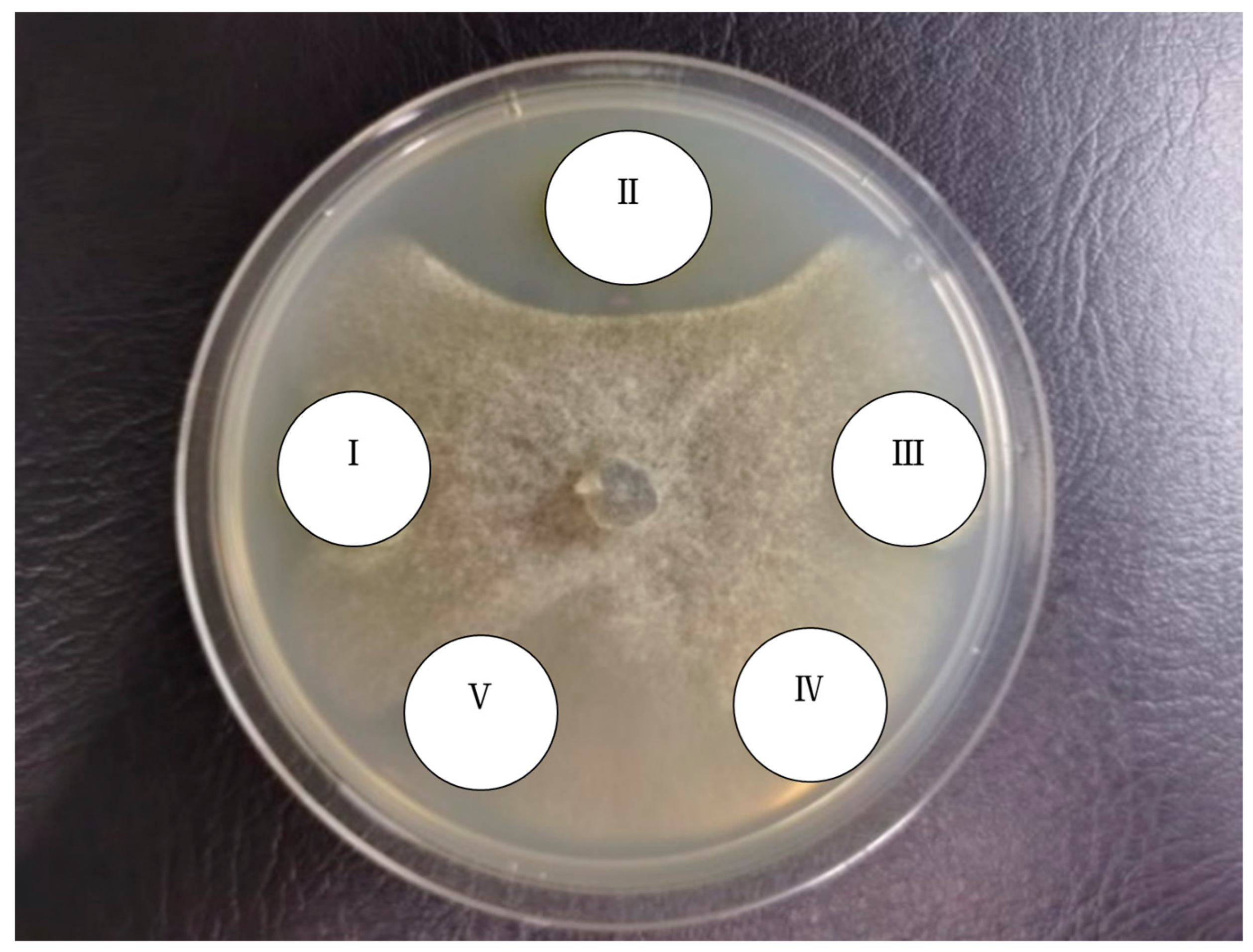 Agronomy 14 01532 g009